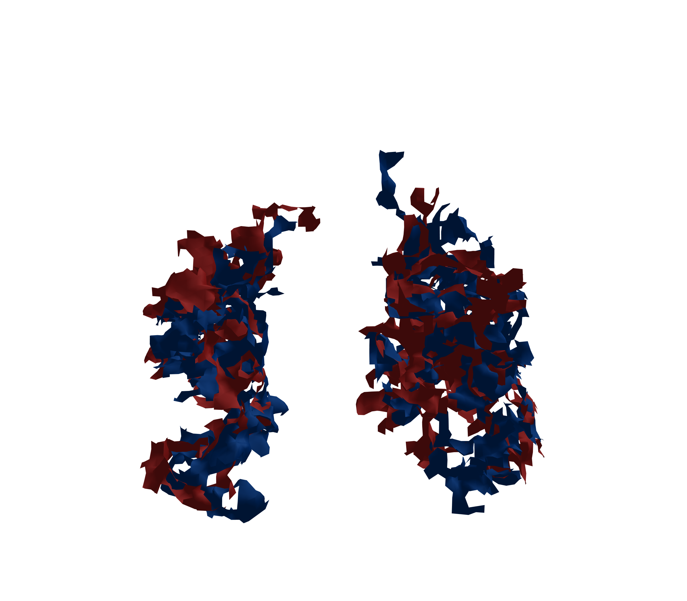 Surface Mesh - Front View