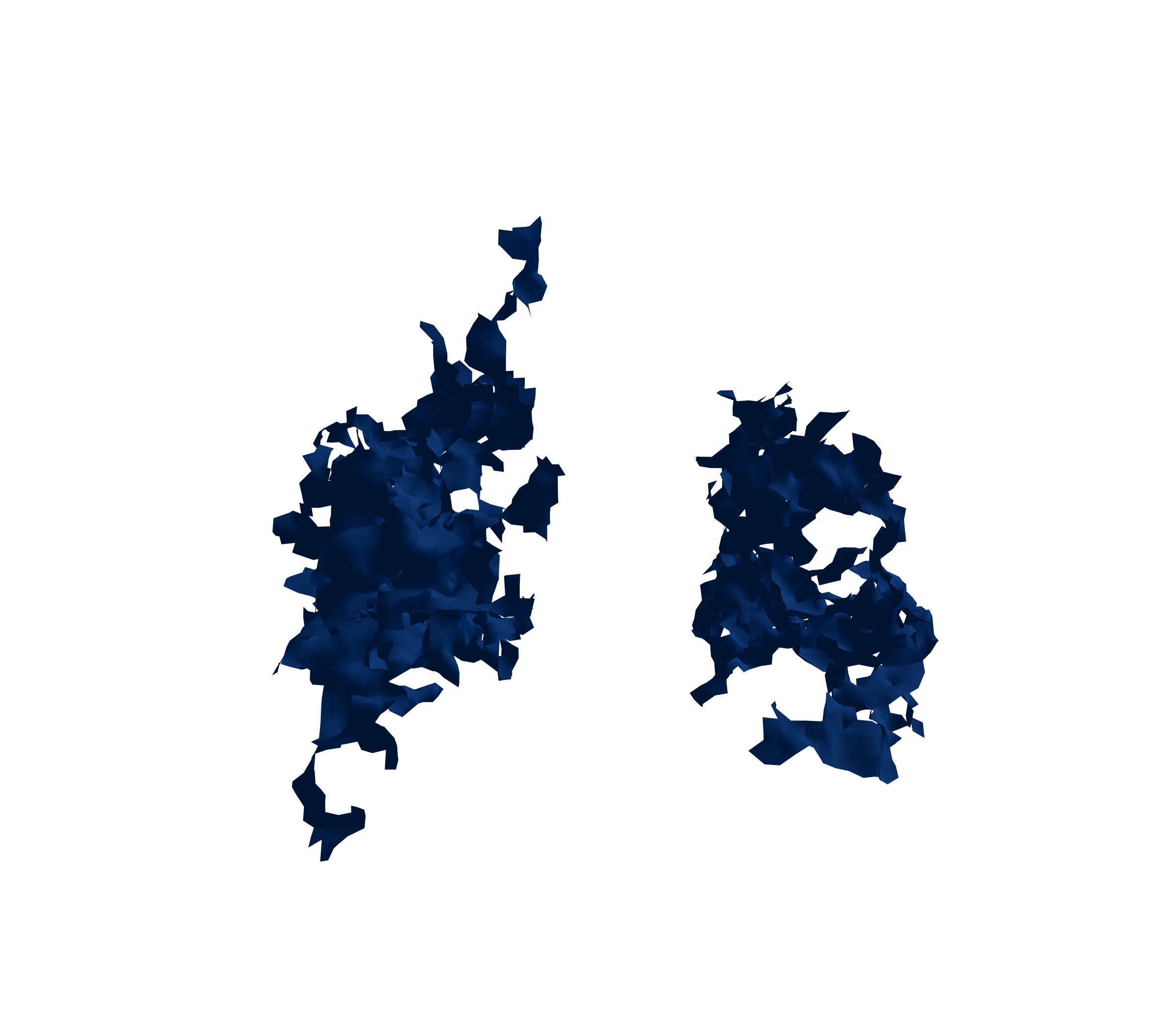 Surface Mesh (Inspiration) - Back View