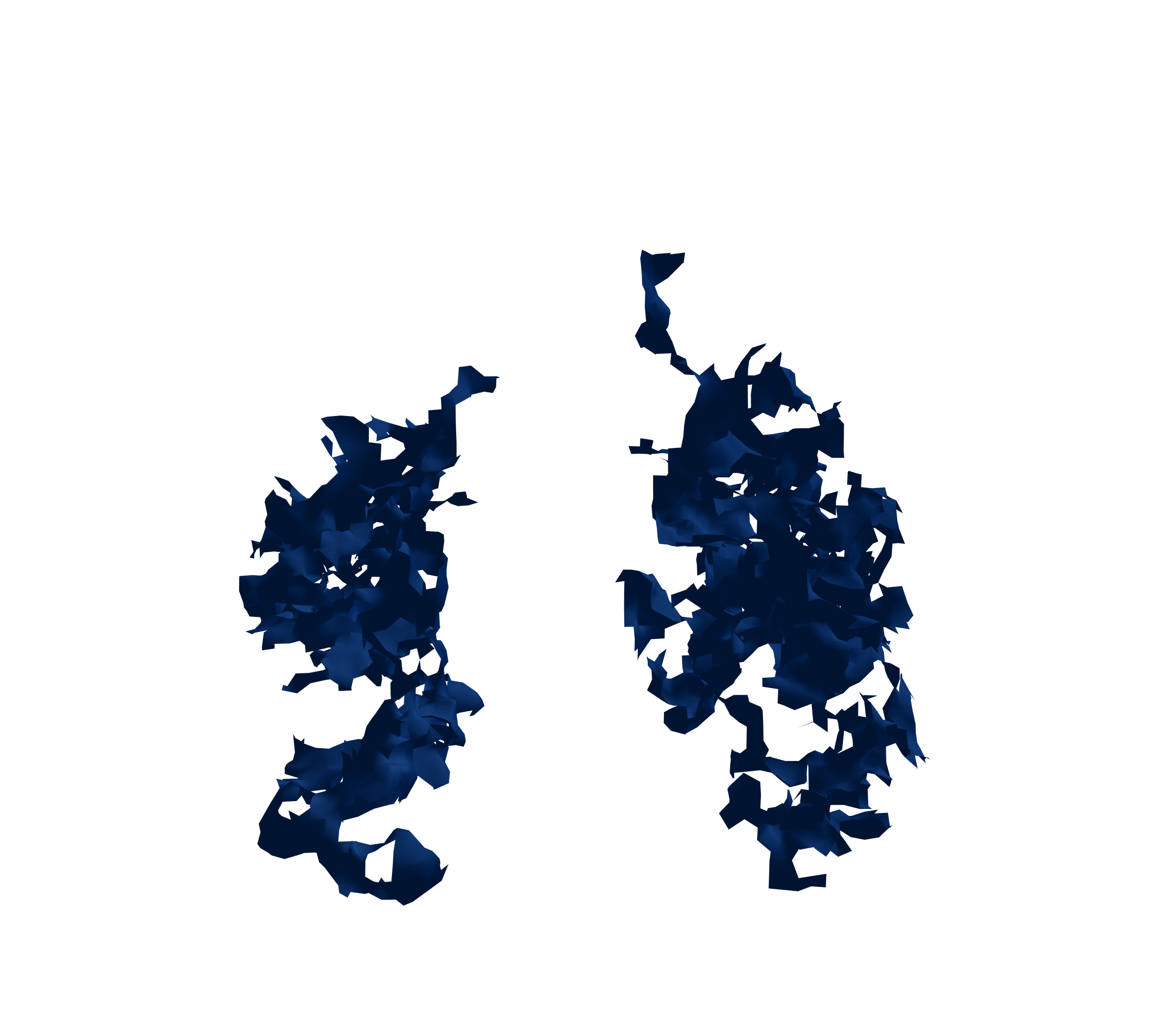 Surface Mesh (Inspiration) - Front View