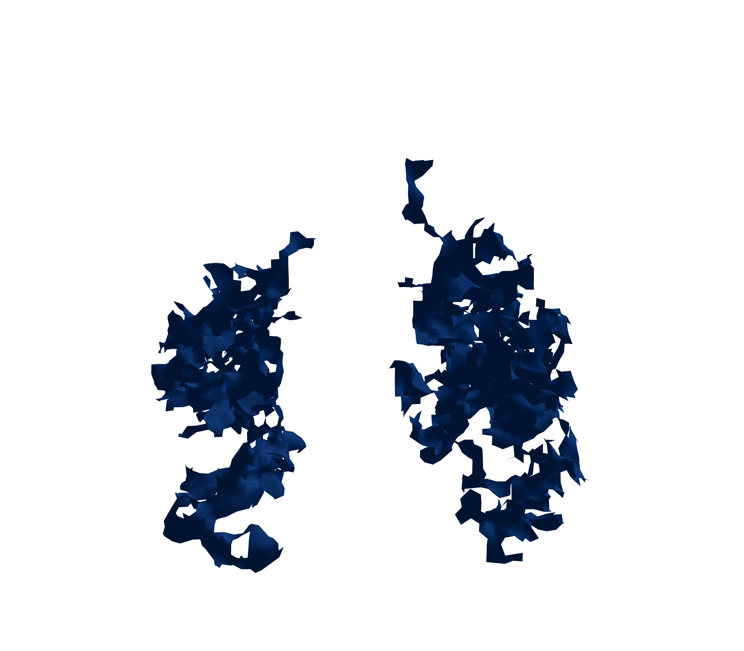 Surface Mesh (Inspiration) - Front View