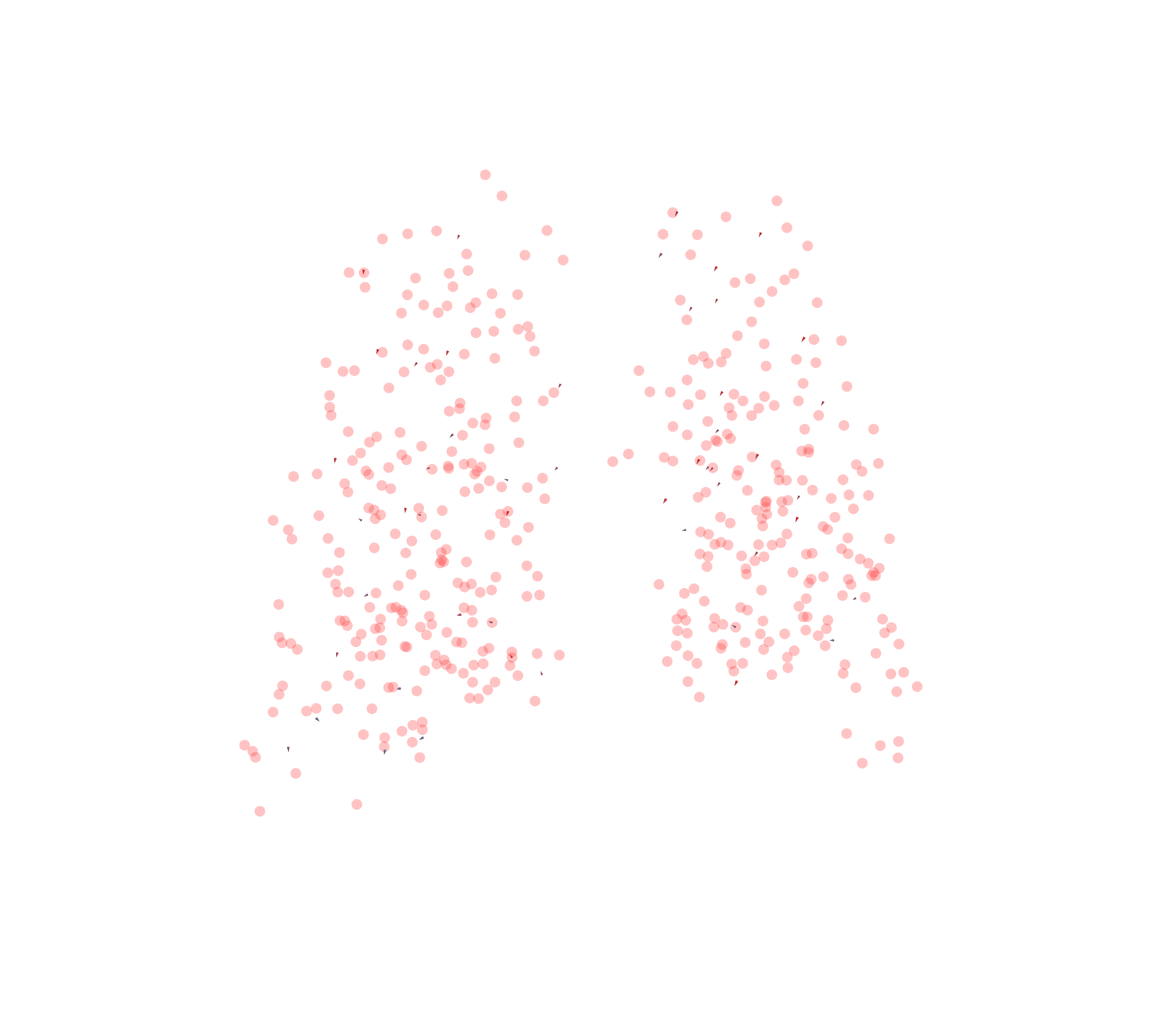 Displacement Vectors - Back View