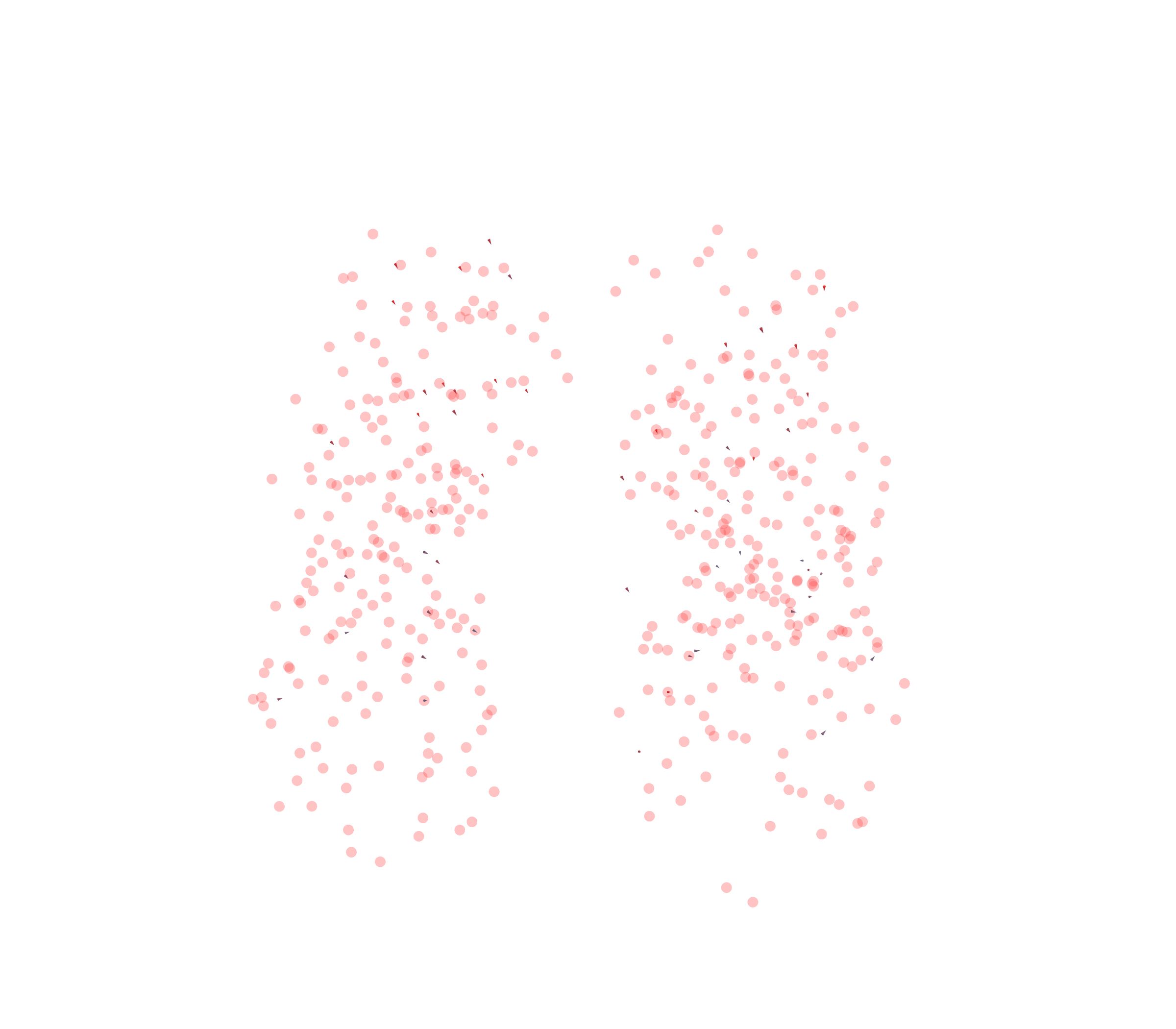 Displacement Vectors - Front View