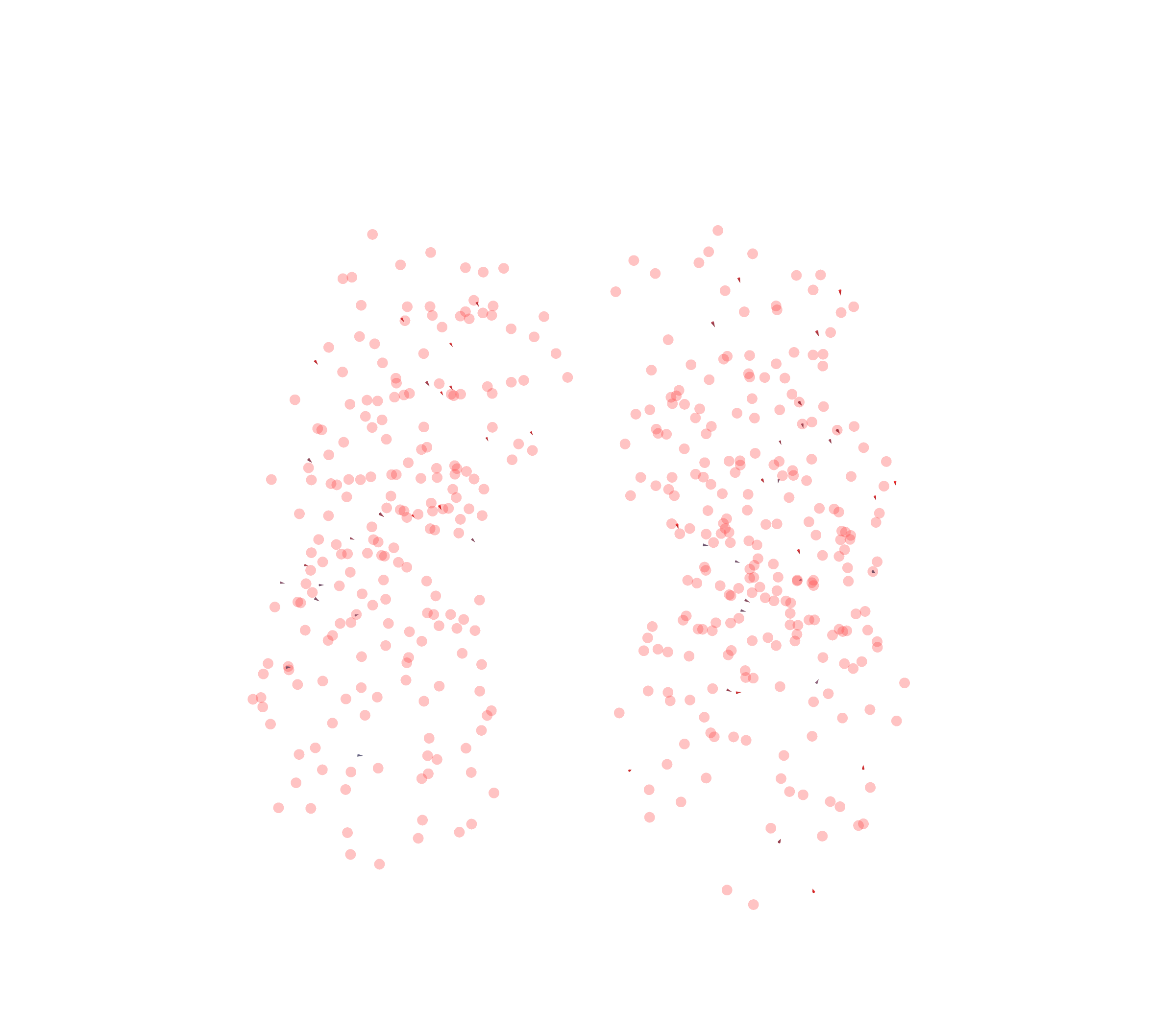 Displacement Vectors - Front View