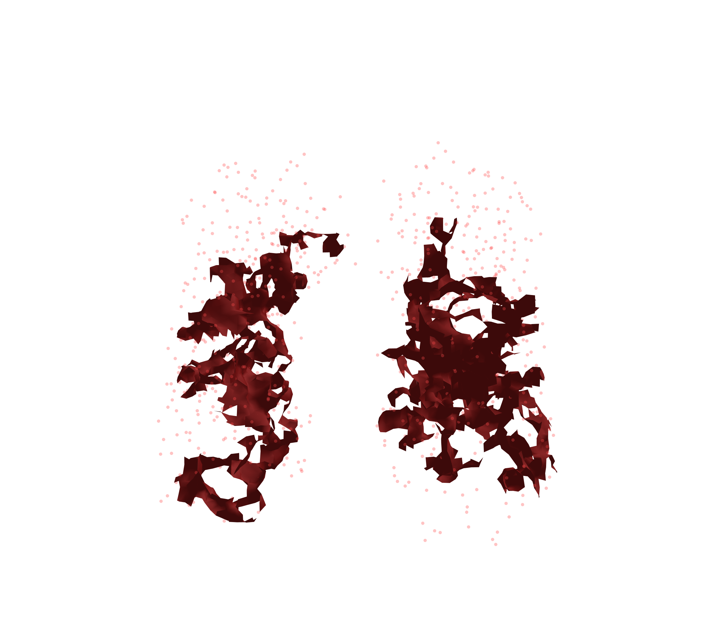 Combined Visualization (Expiration) - Front View