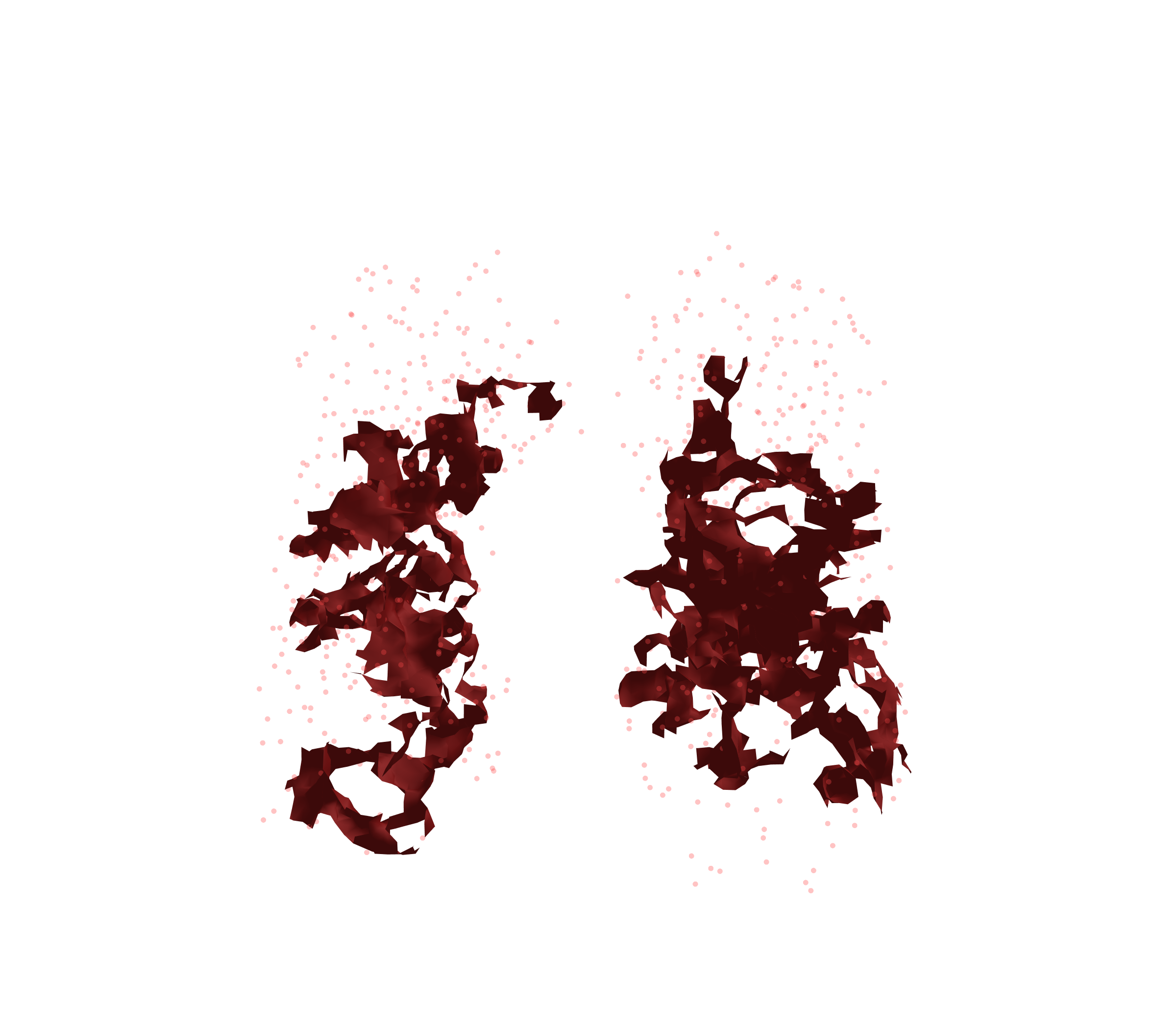 Combined Visualization (Expiration) - Front View