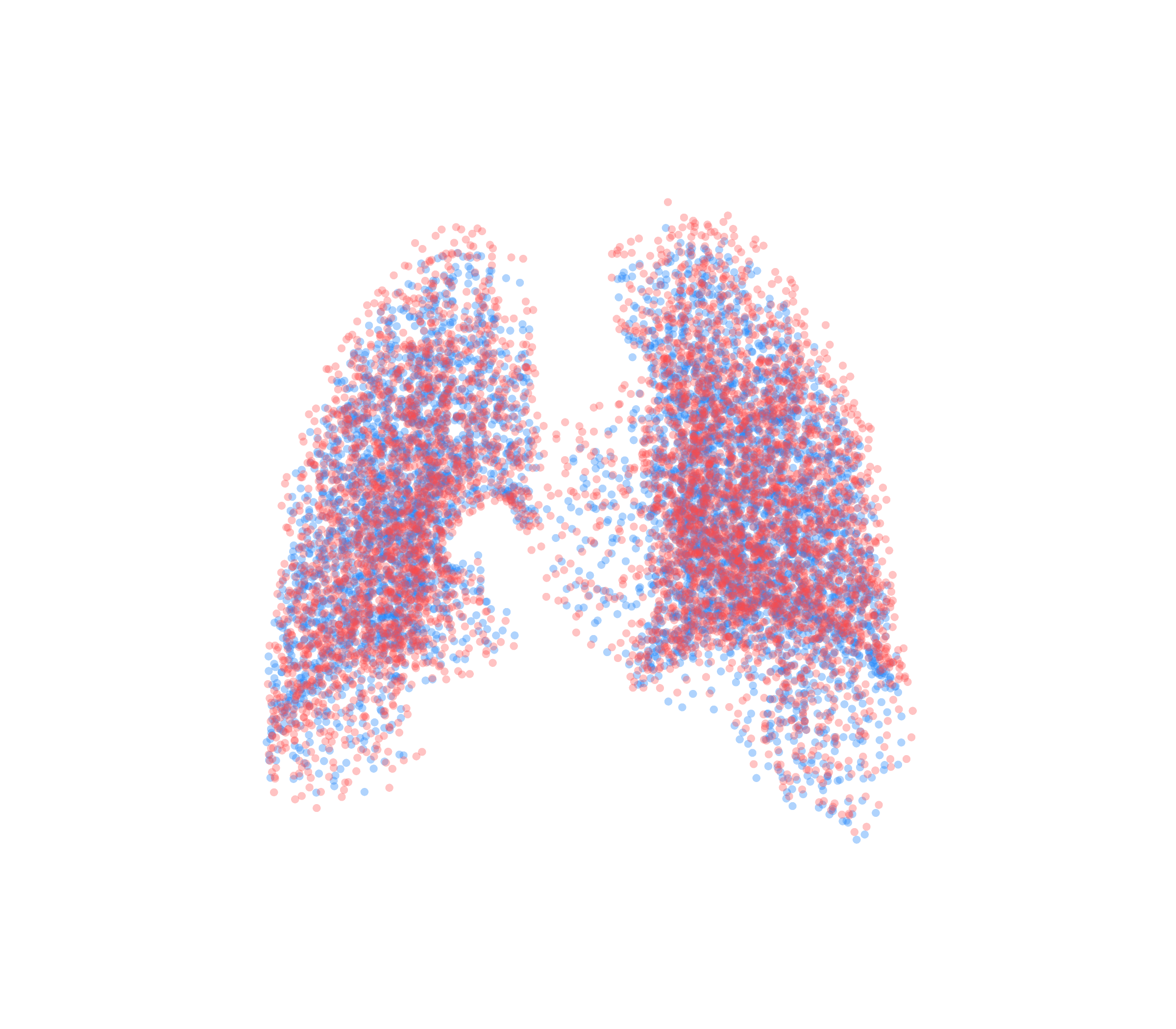 Point Cloud - Back View
