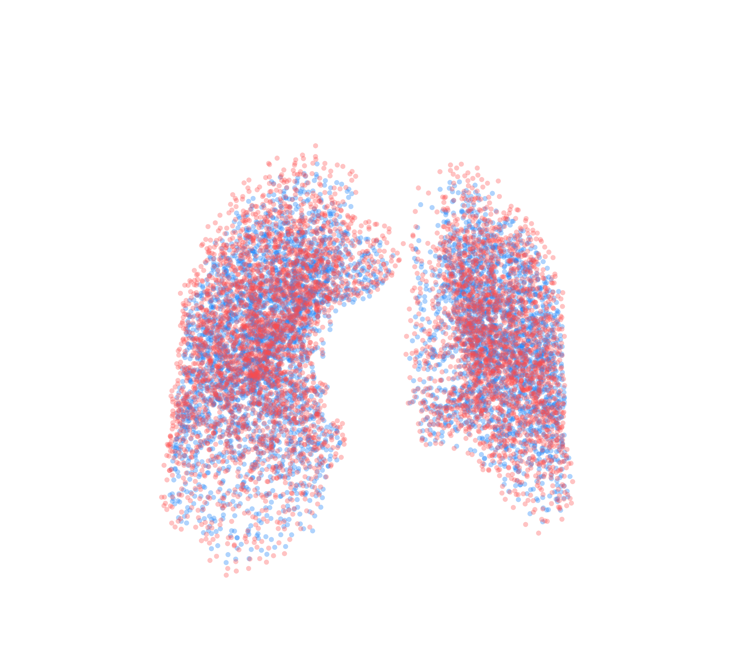 Point Cloud - Front View