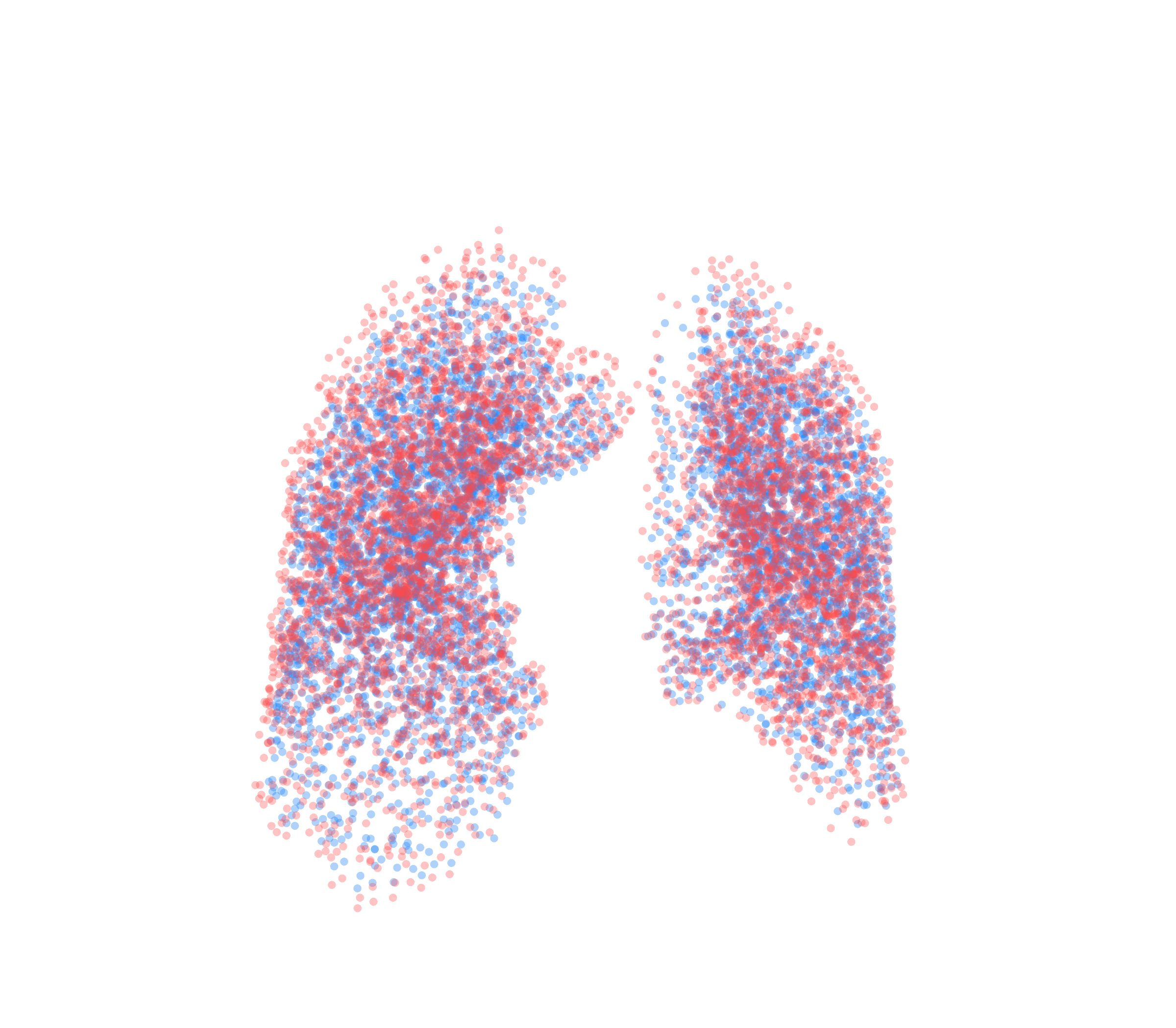 Point Cloud - Front View