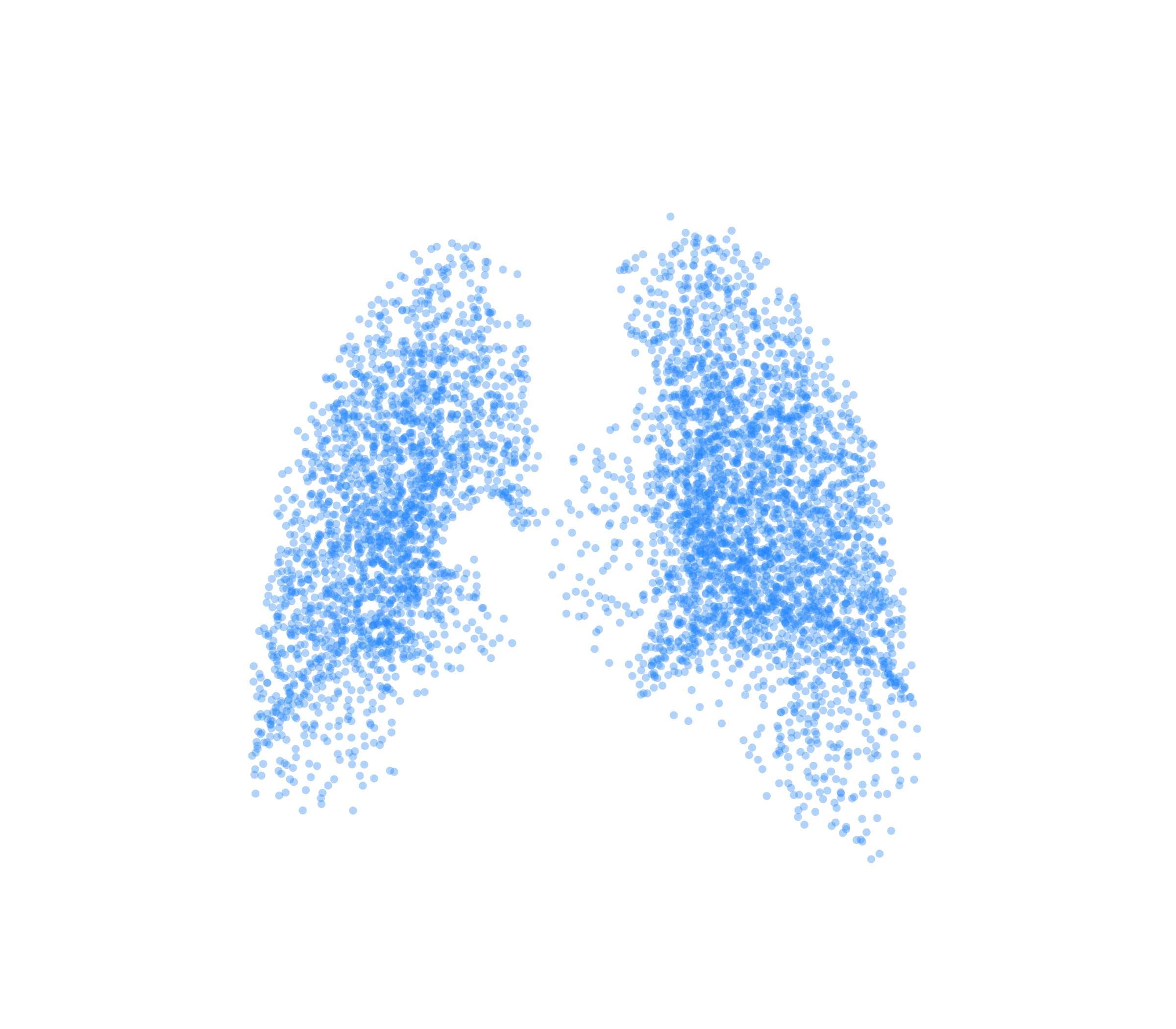 Point Cloud (Inspiration) - Back View