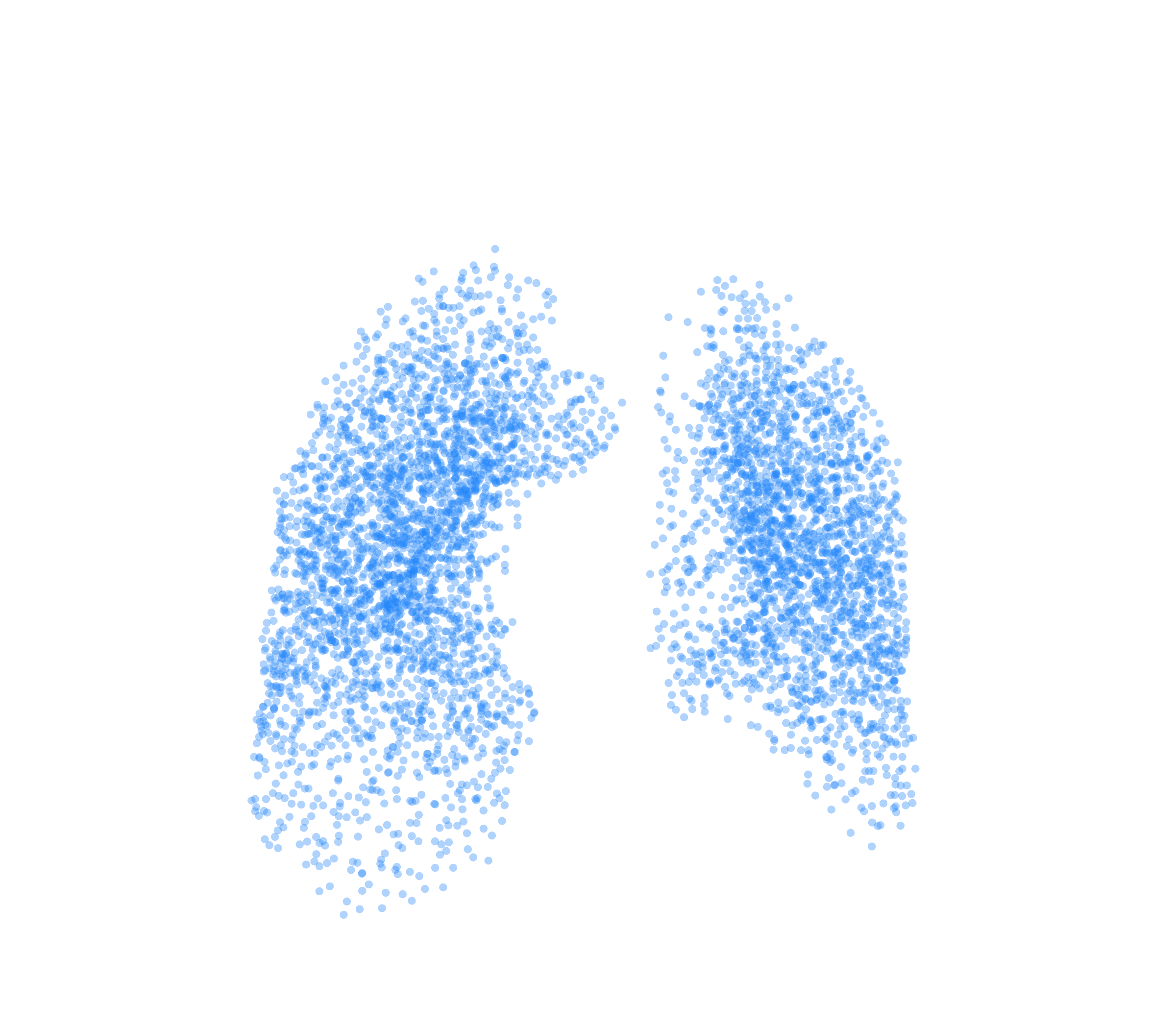 Point Cloud (Inspiration) - Front View