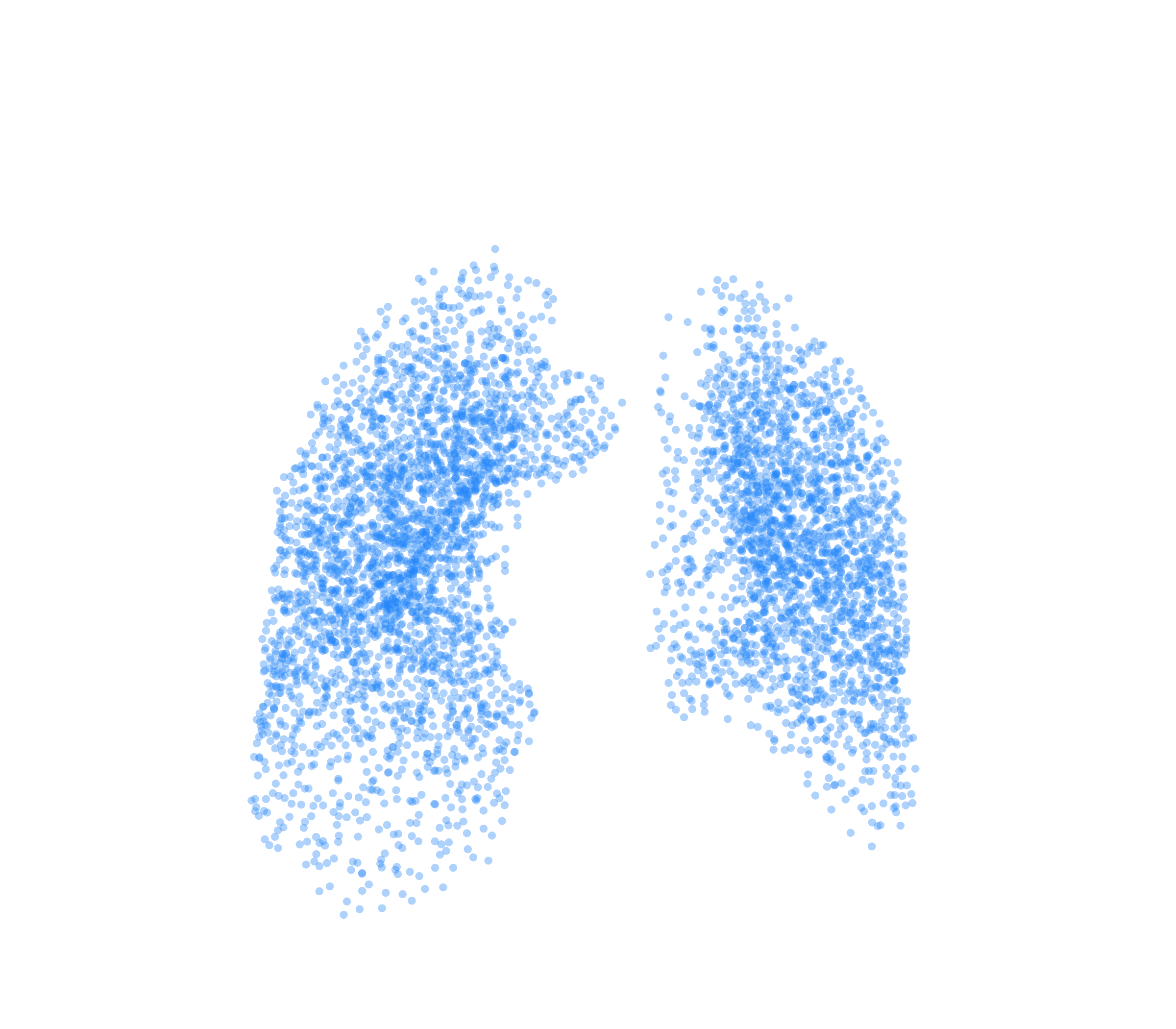 Point Cloud (Inspiration) - Front View