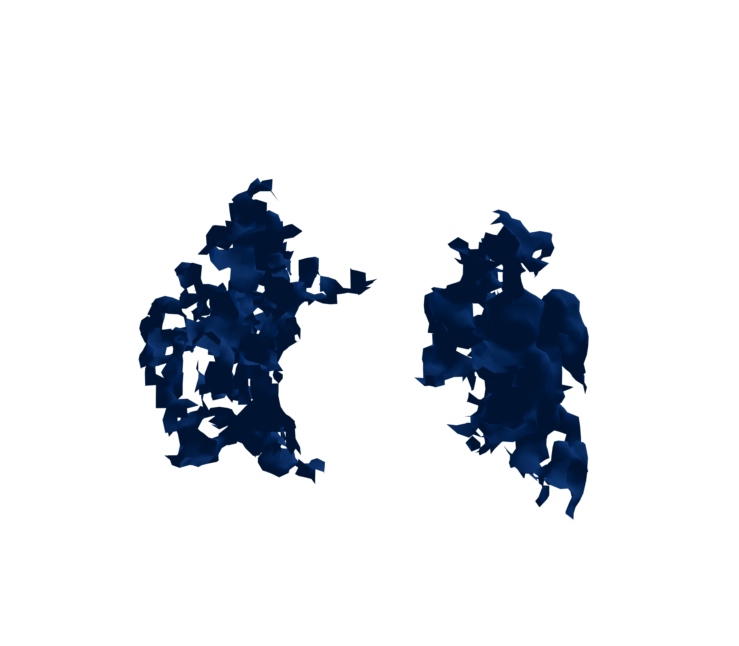 Surface Mesh (Inspiration) - Front View