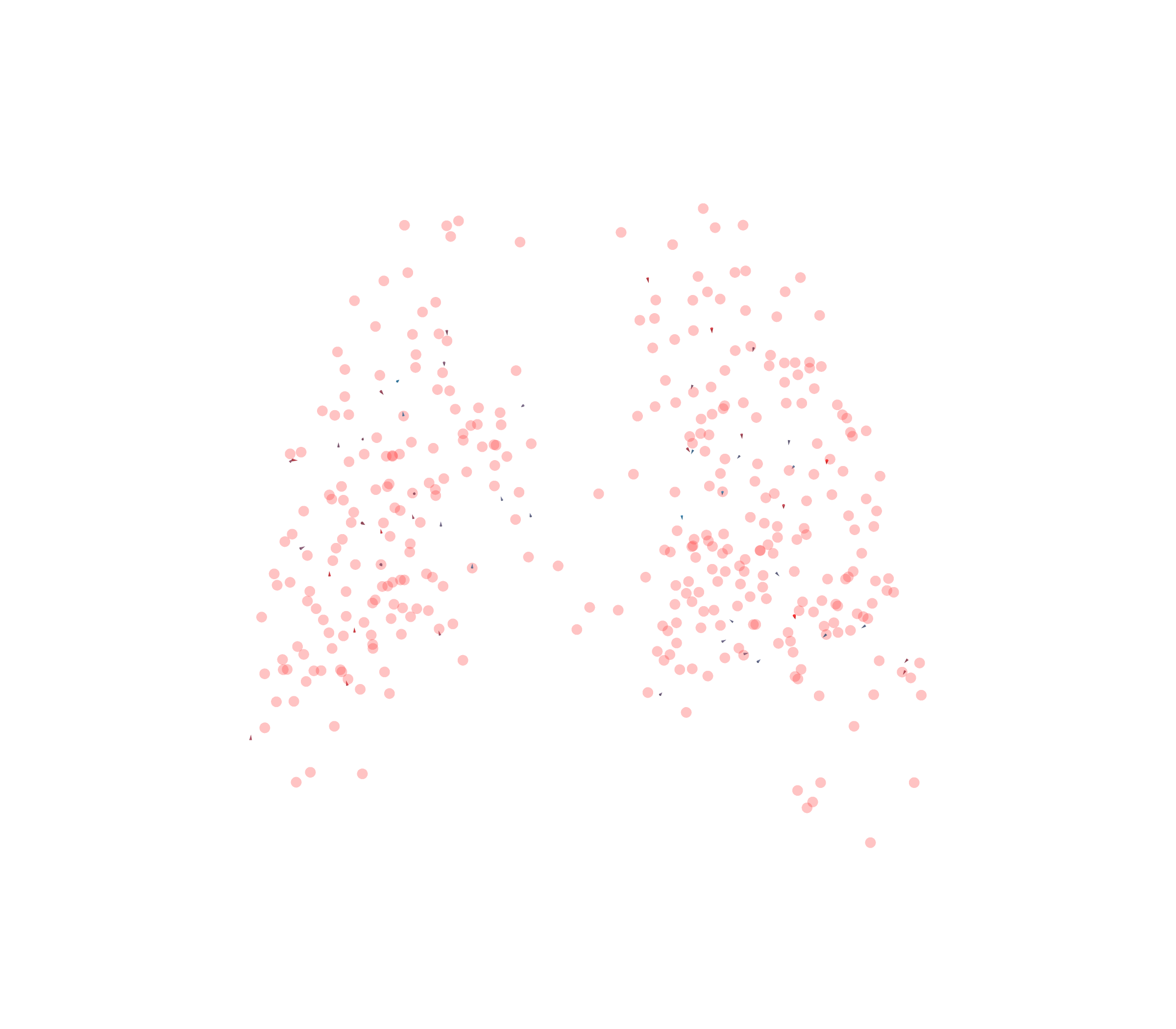 Displacement Vectors - Back View