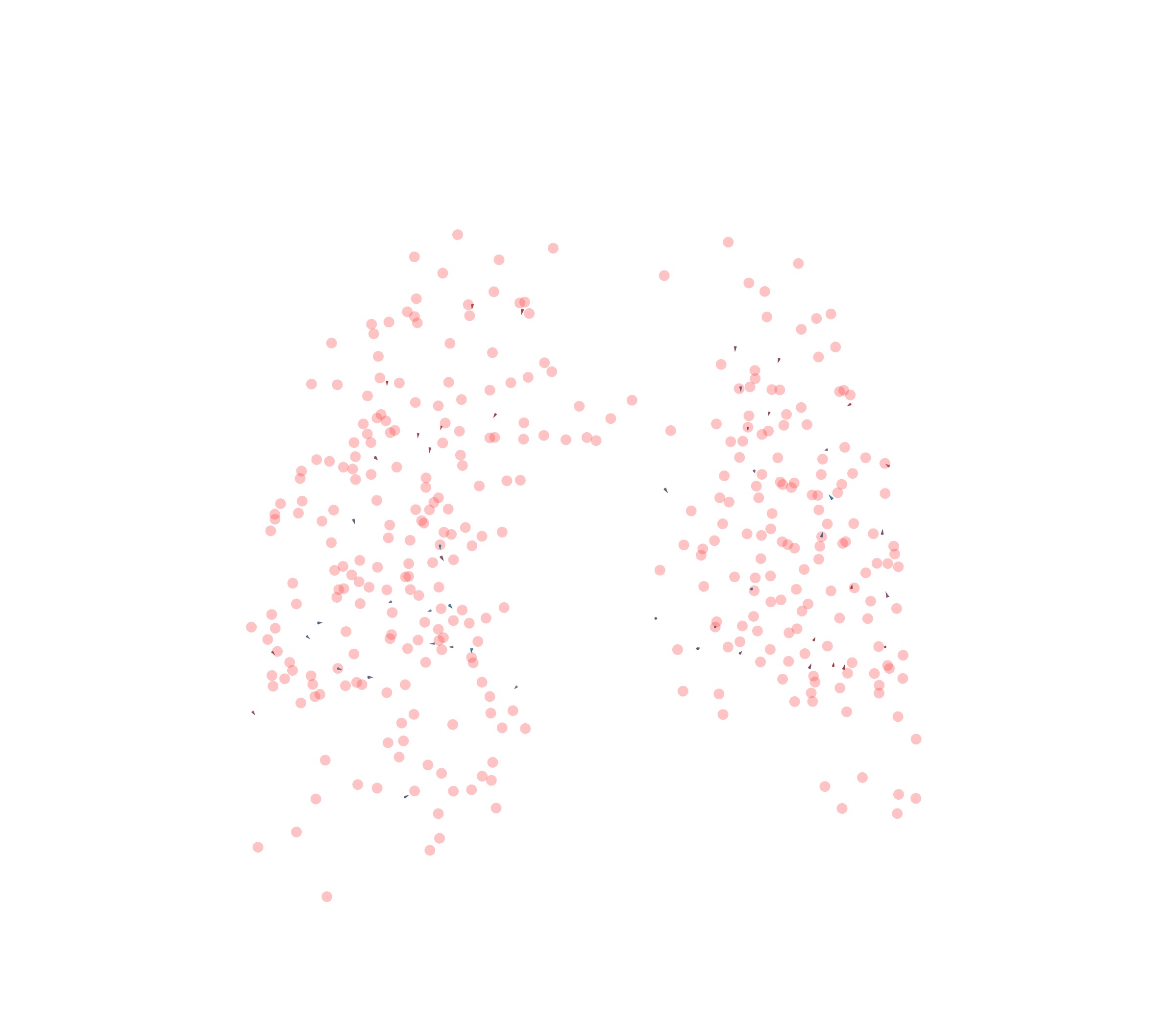 Displacement Vectors - Front View