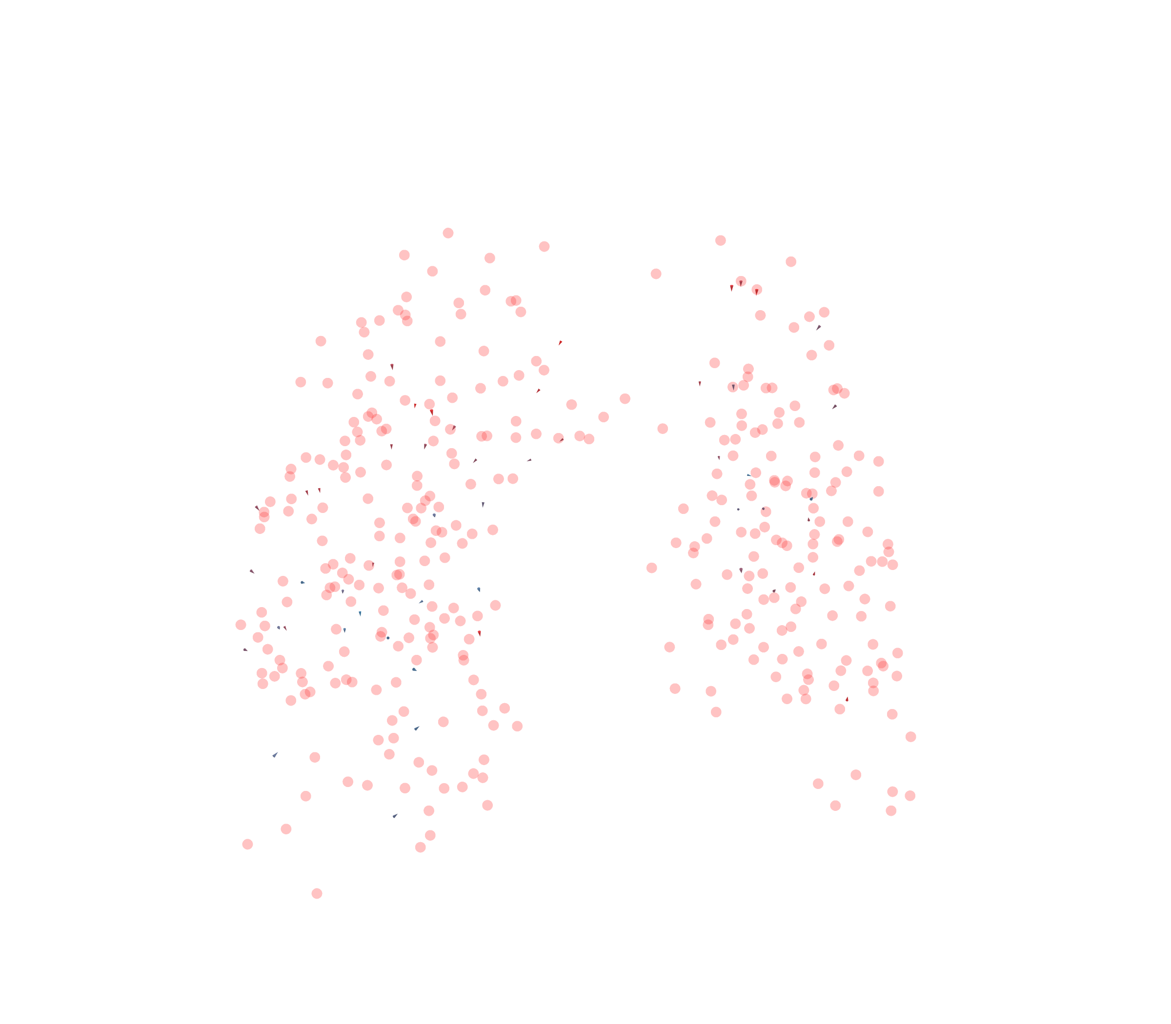 Displacement Vectors - Front View
