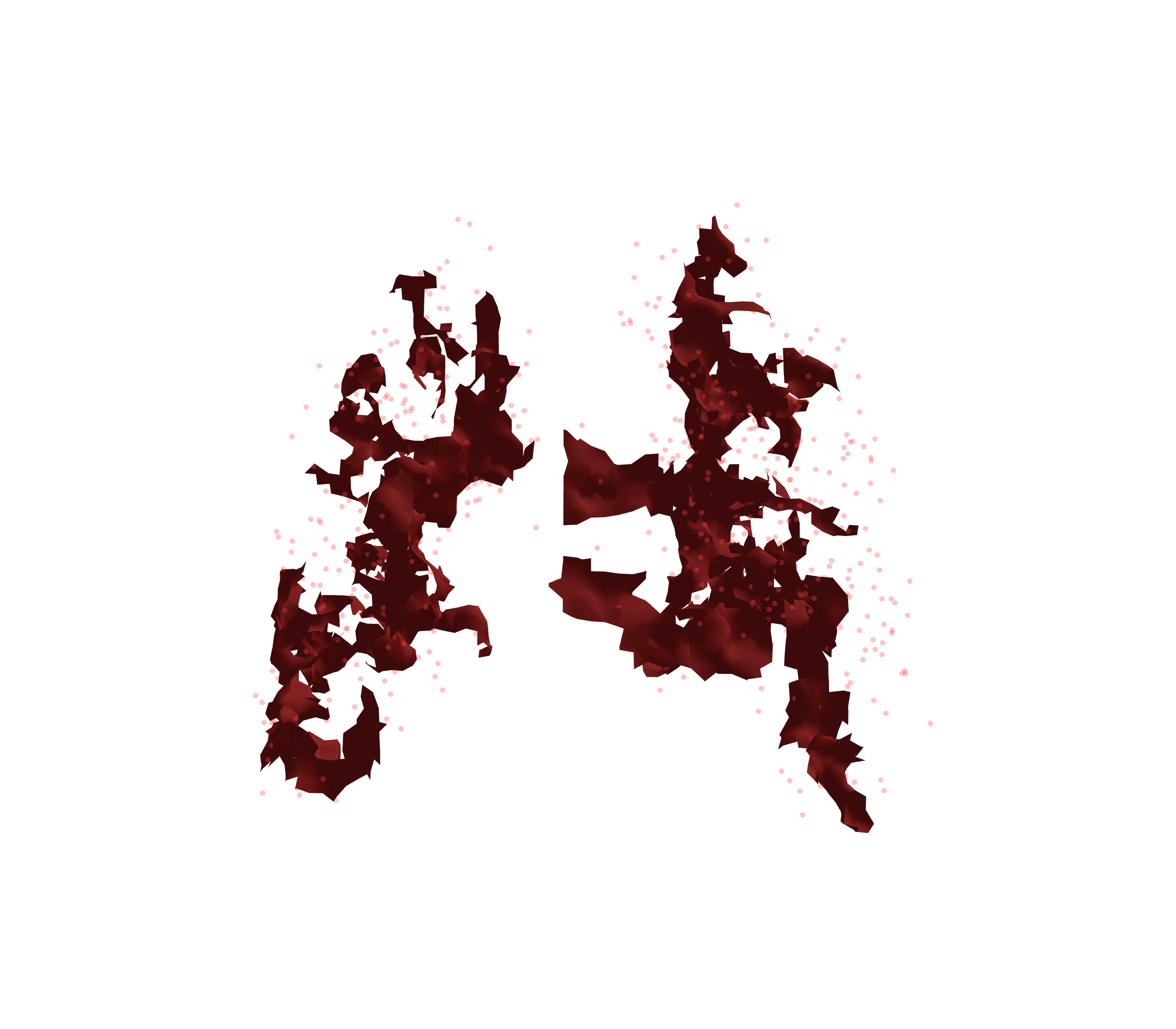 Combined Visualization (Expiration) - Back View