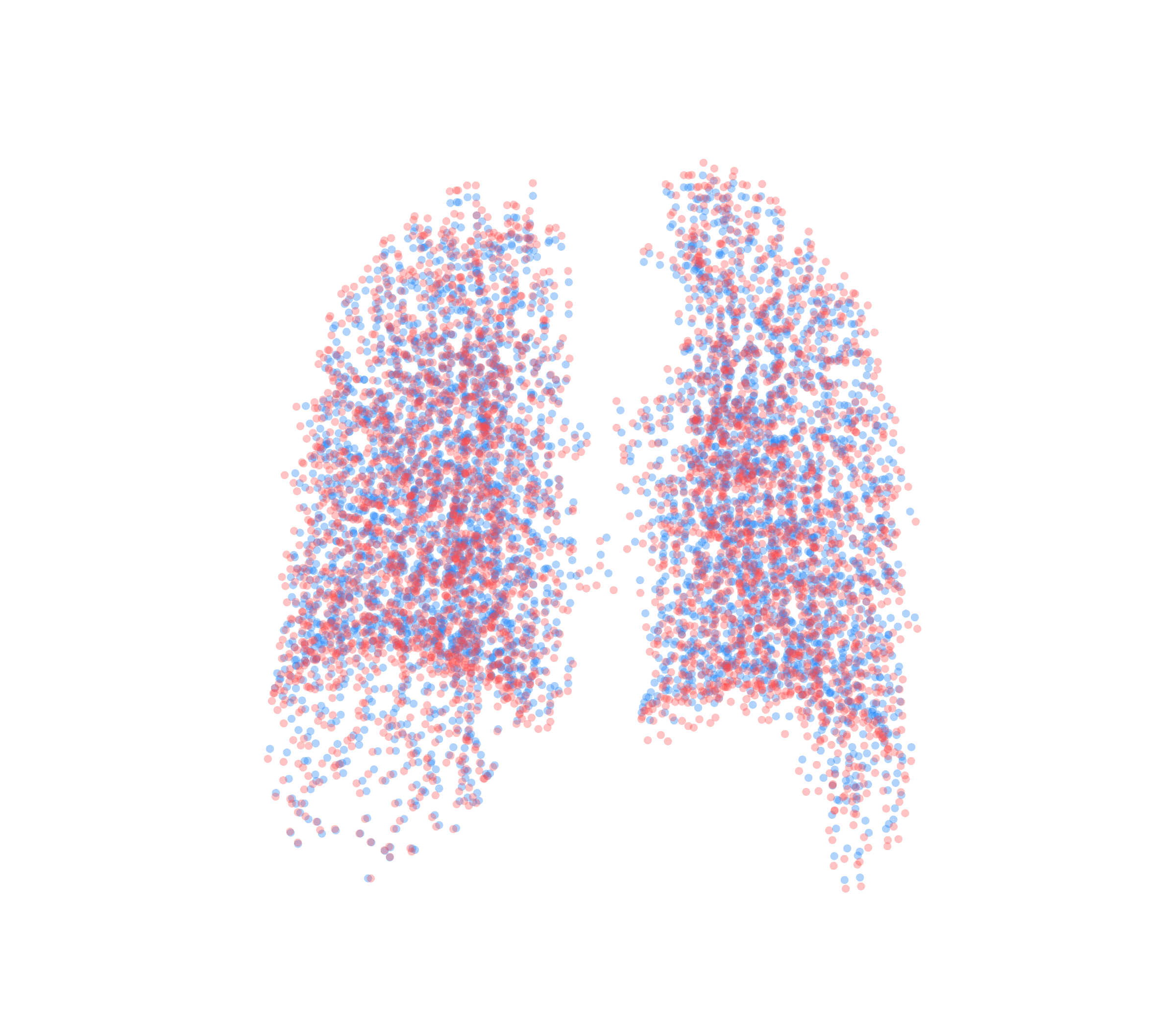 Point Cloud - Back View