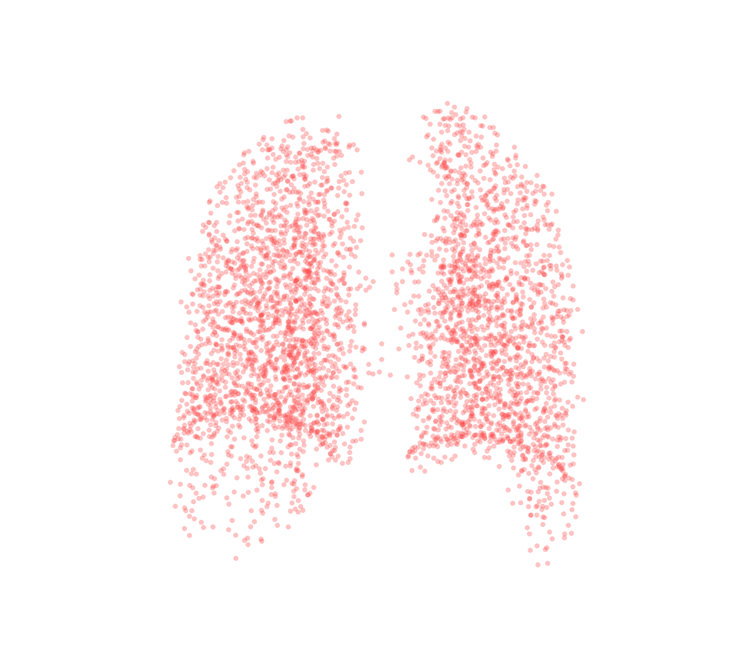 Point Cloud (Expiration) - Back View