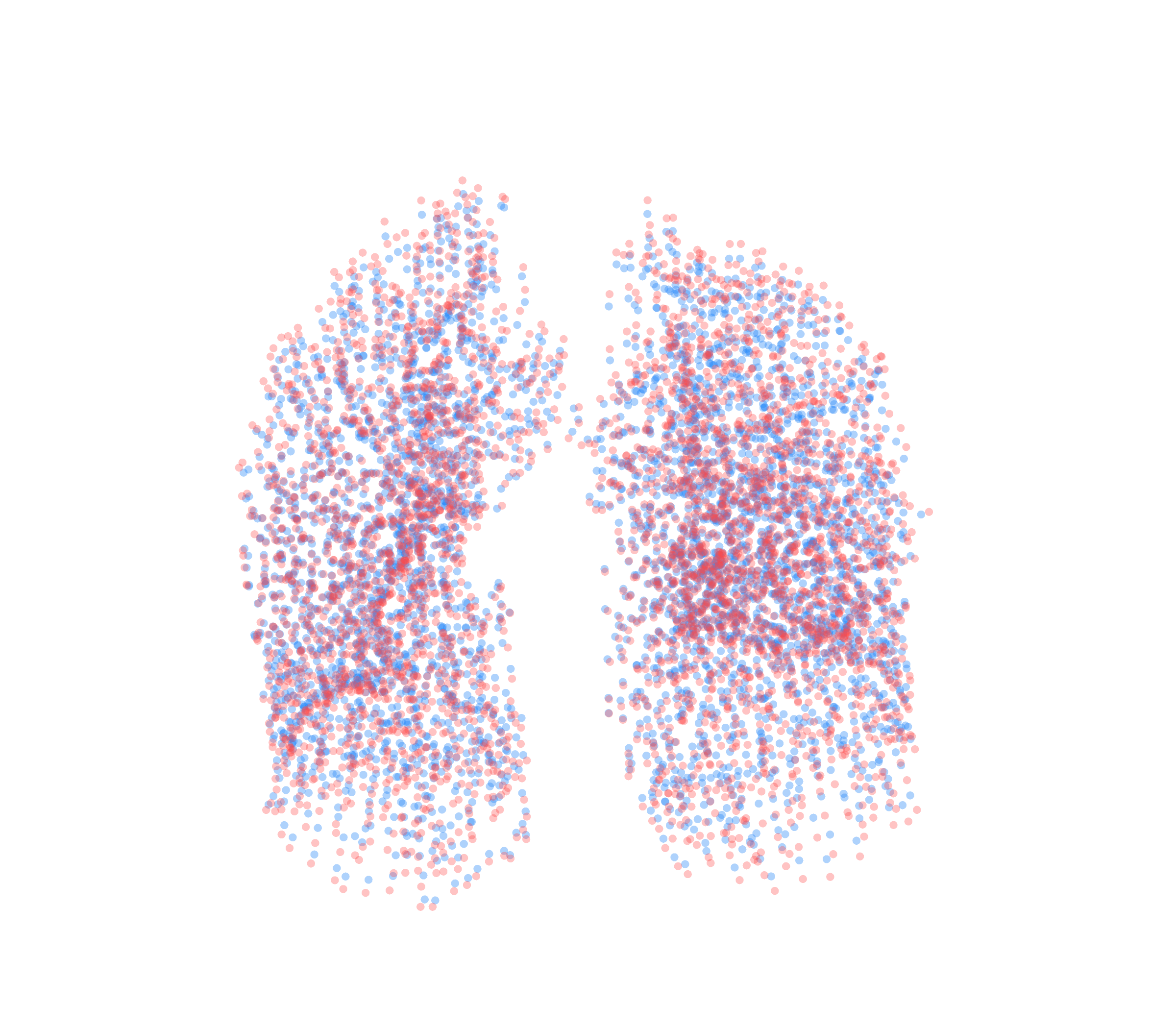 Point Cloud - Front View
