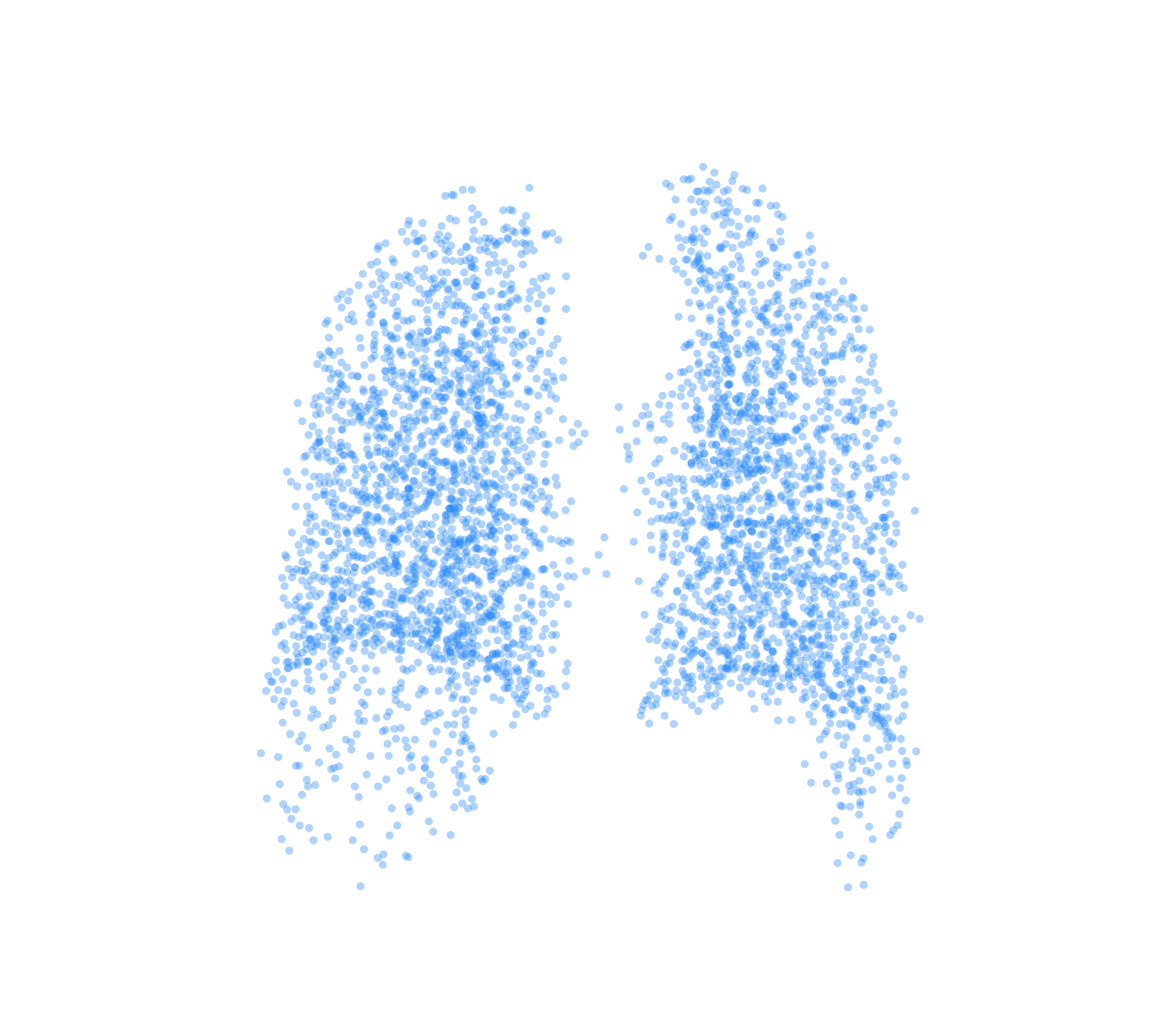 Point Cloud (Inspiration) - Back View