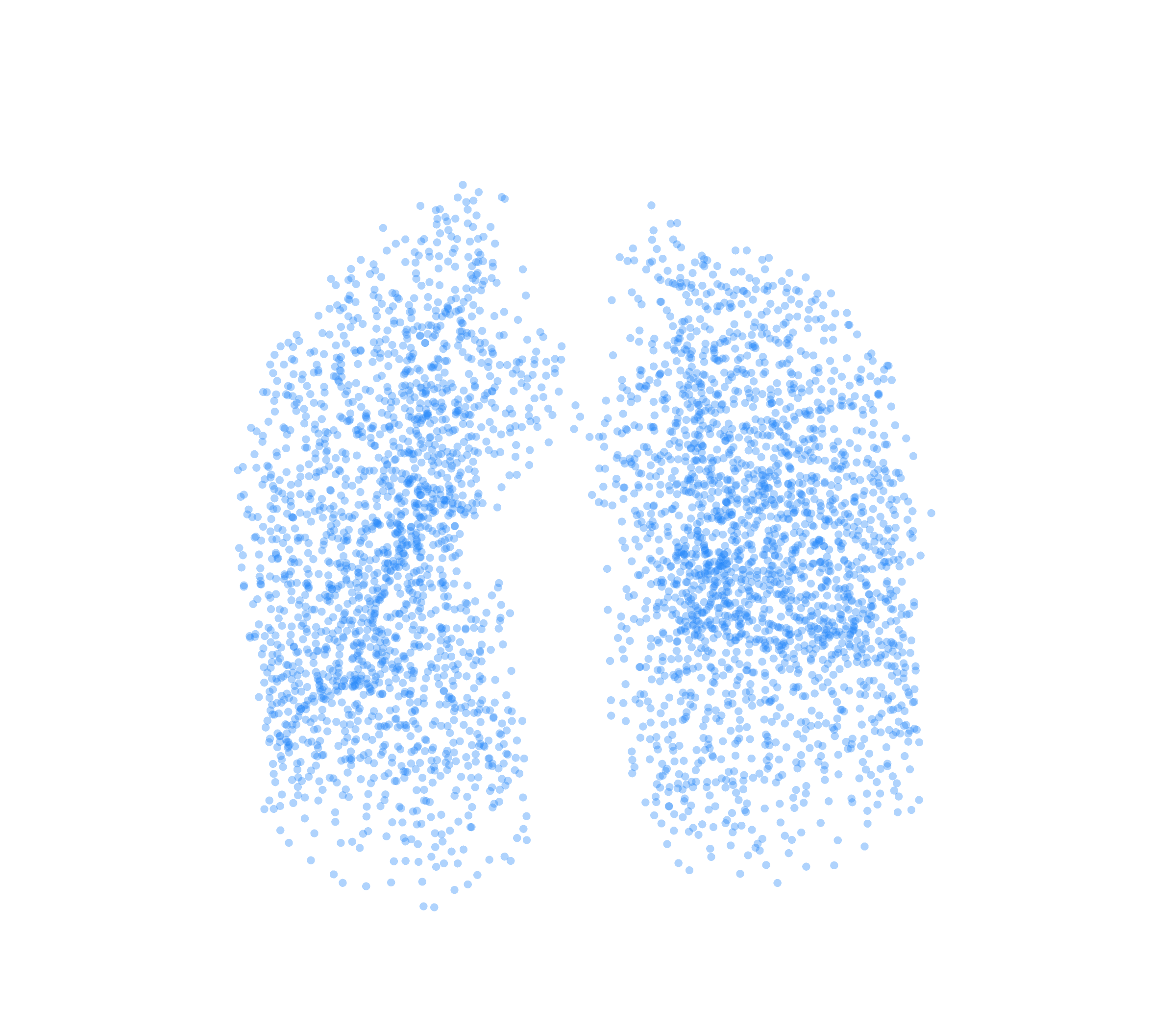 Point Cloud (Inspiration) - Front View