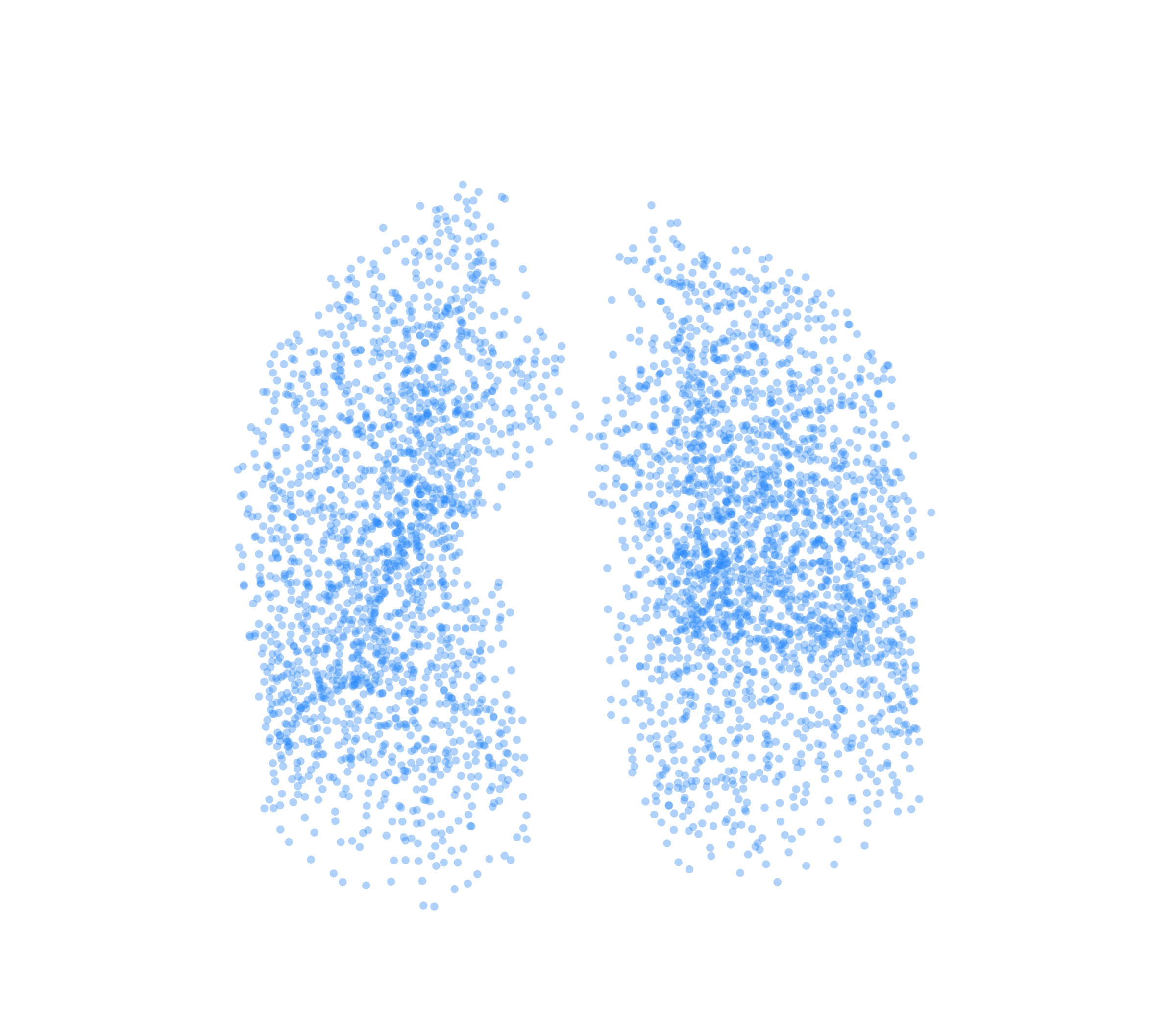 Point Cloud (Inspiration) - Front View