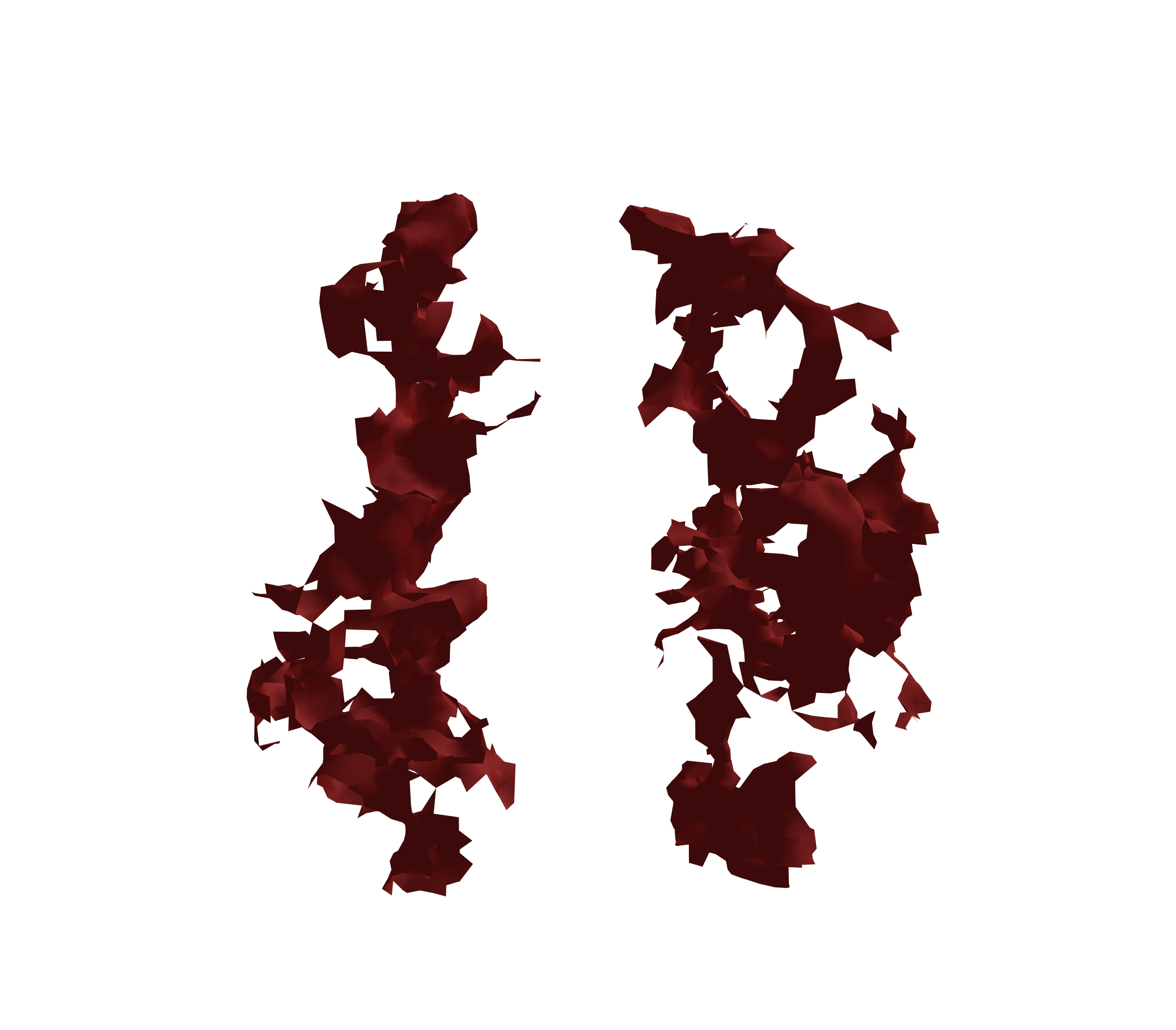 Surface Mesh (Expiration) - Front View