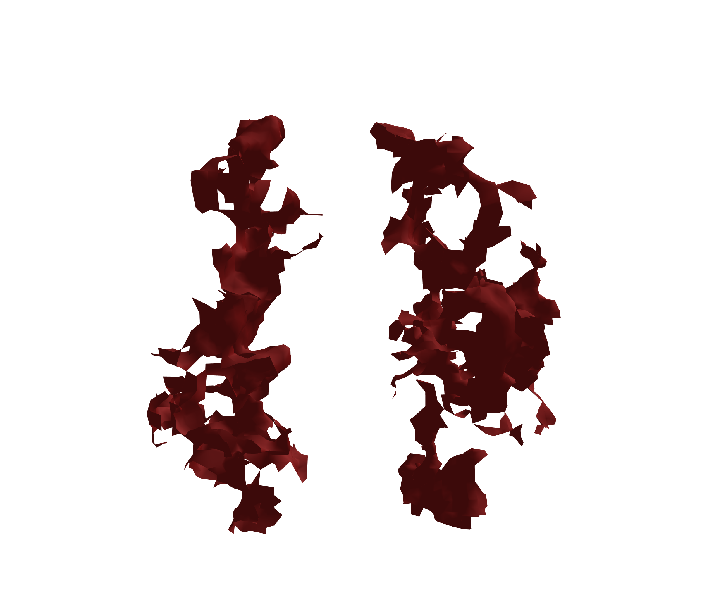 Surface Mesh (Expiration) - Front View