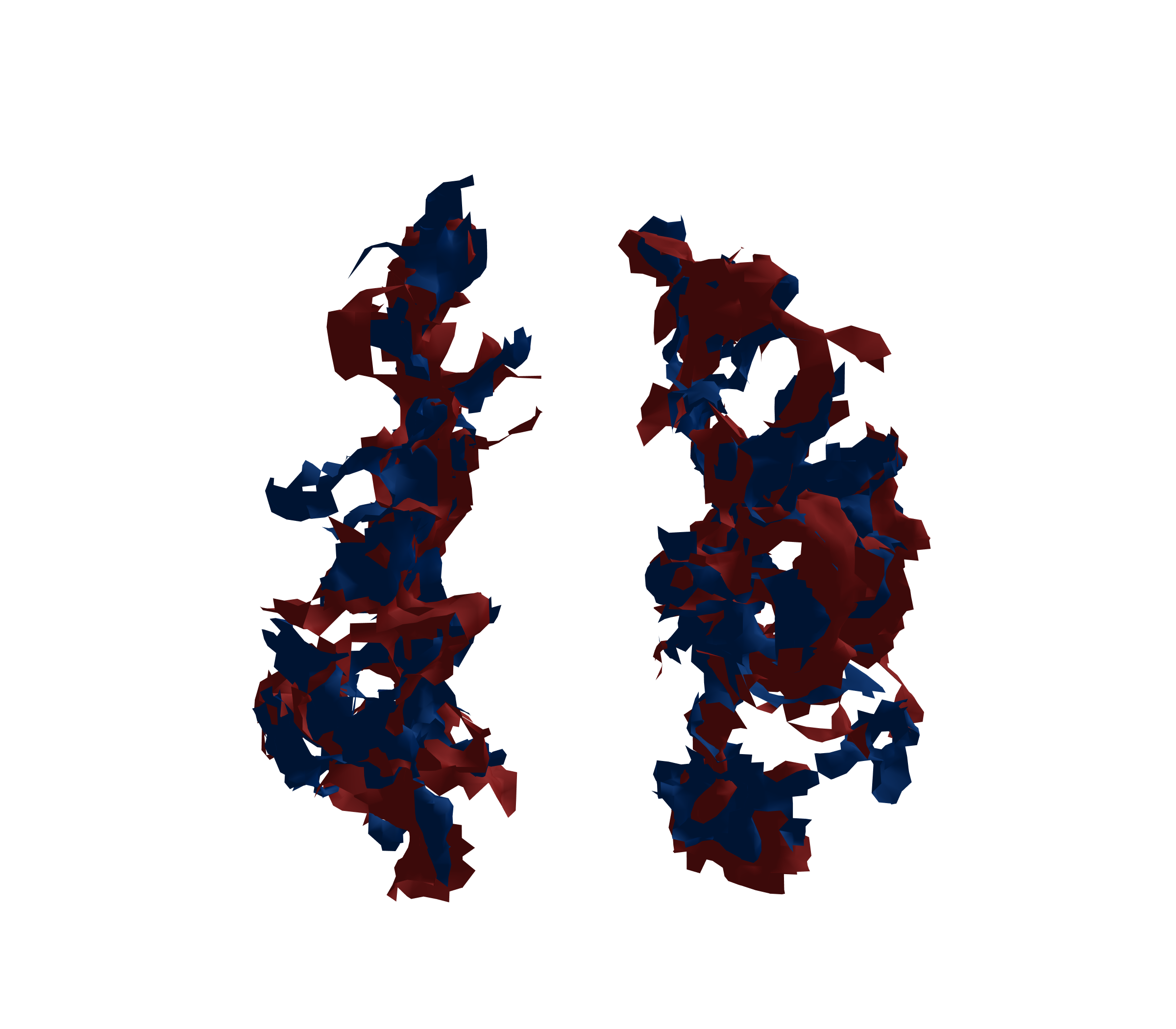 Surface Mesh - Front View