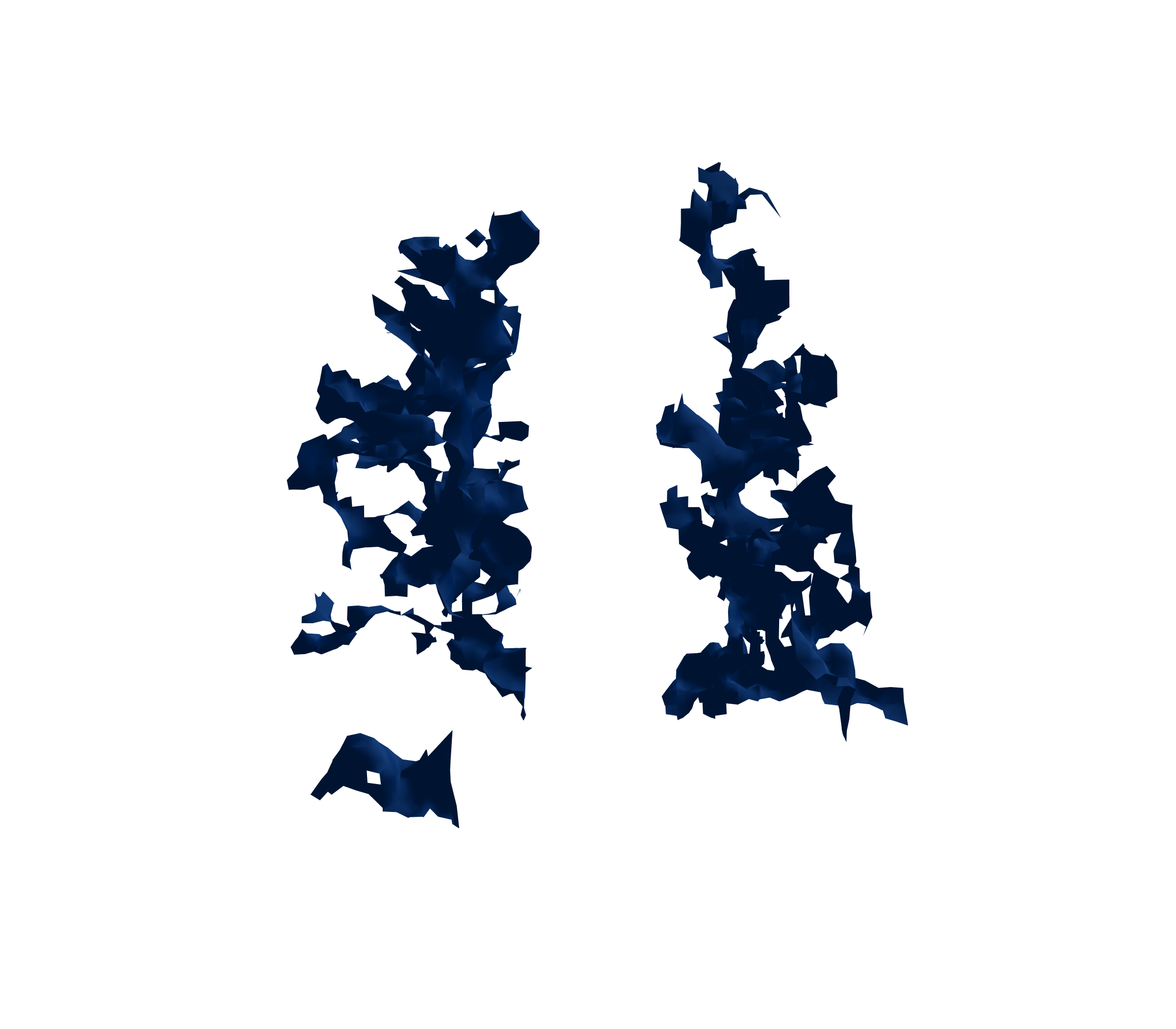 Surface Mesh (Inspiration) - Back View