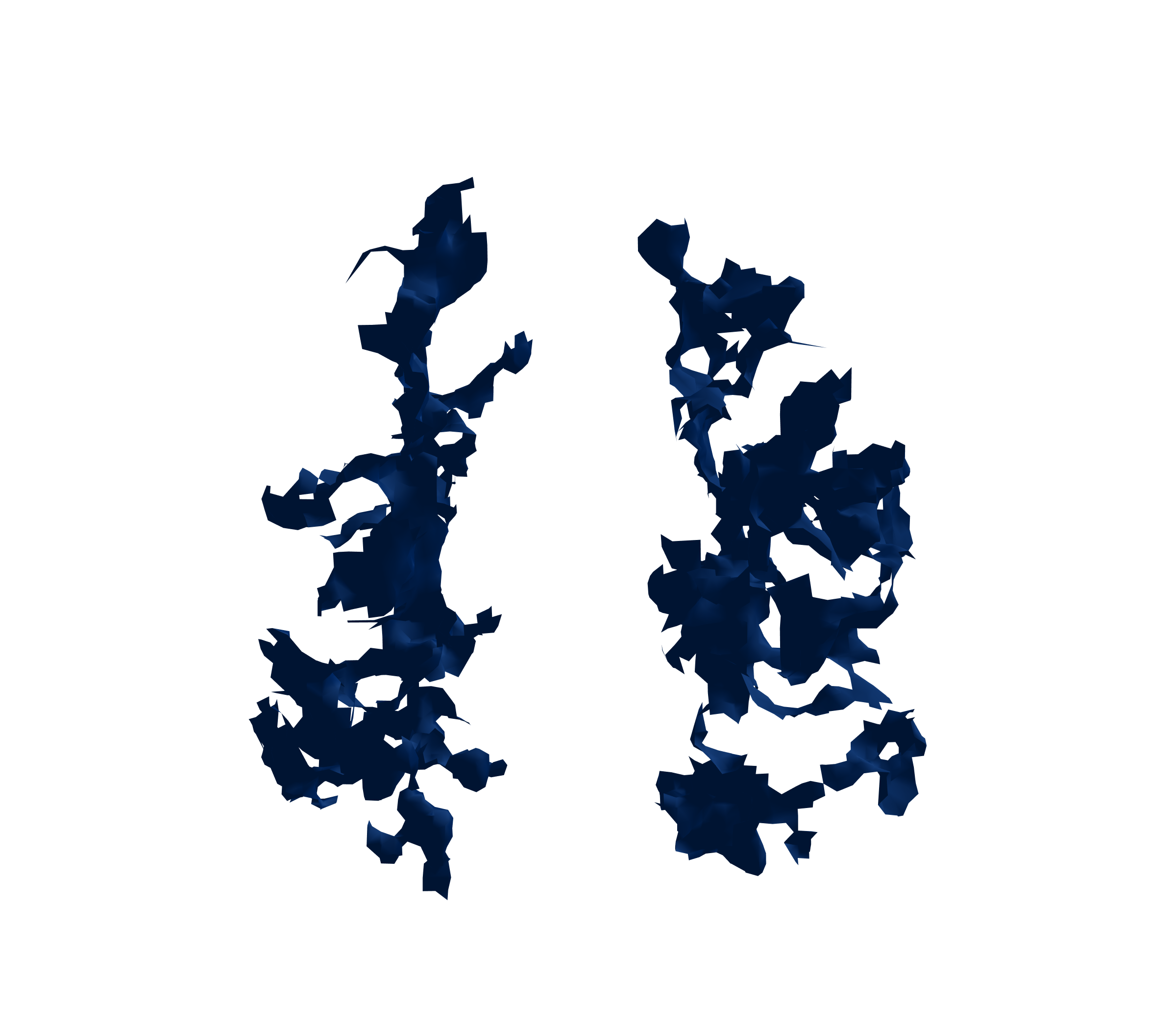 Surface Mesh (Inspiration) - Front View