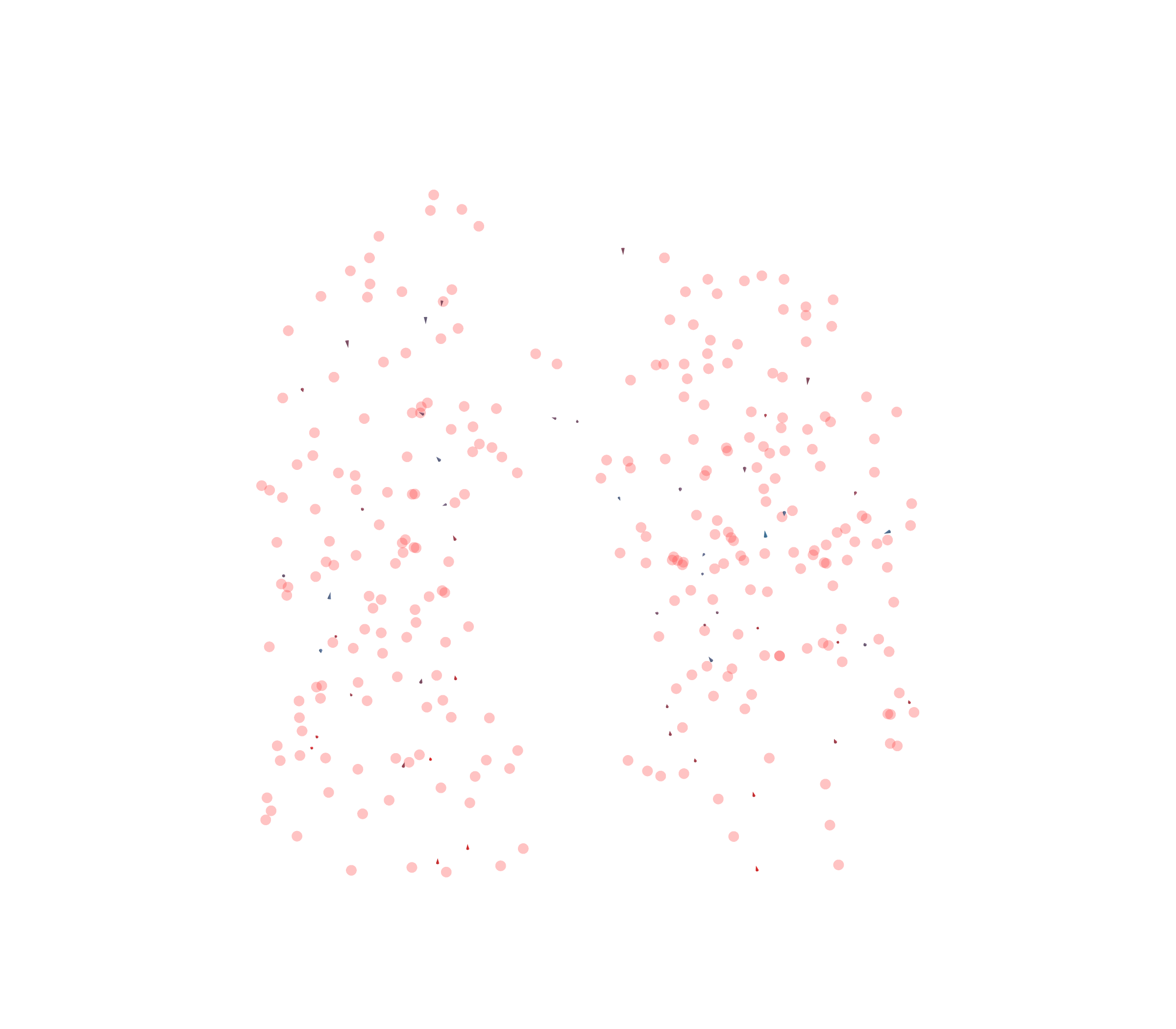 Displacement Vectors - Front View