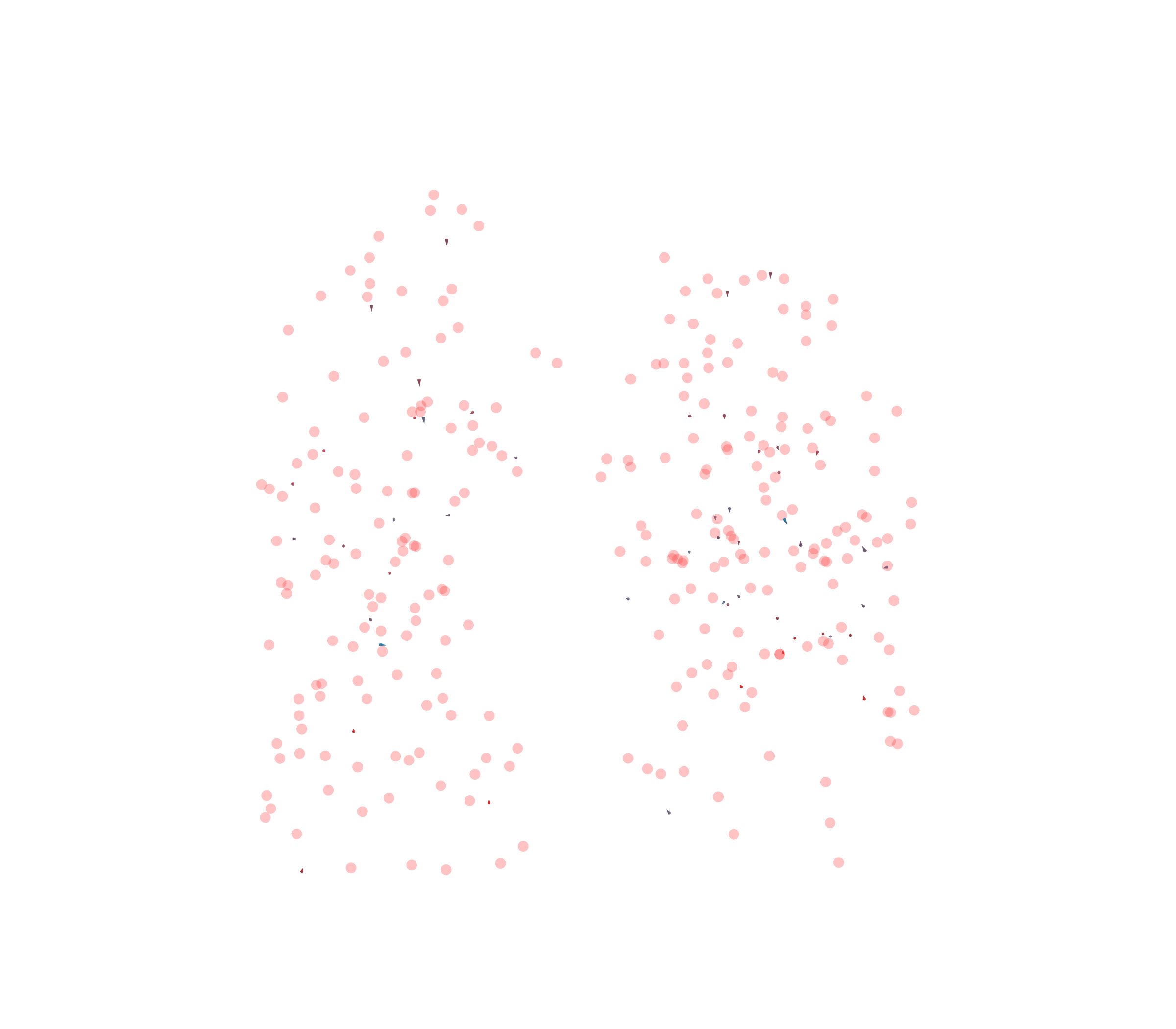 Displacement Vectors - Front View