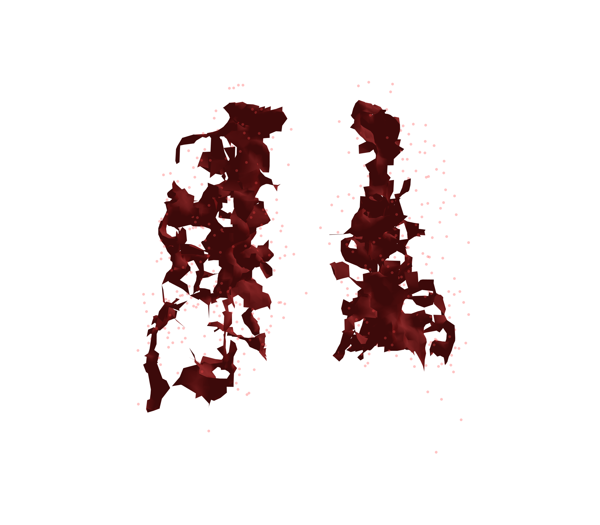 Combined Visualization (Expiration) - Back View