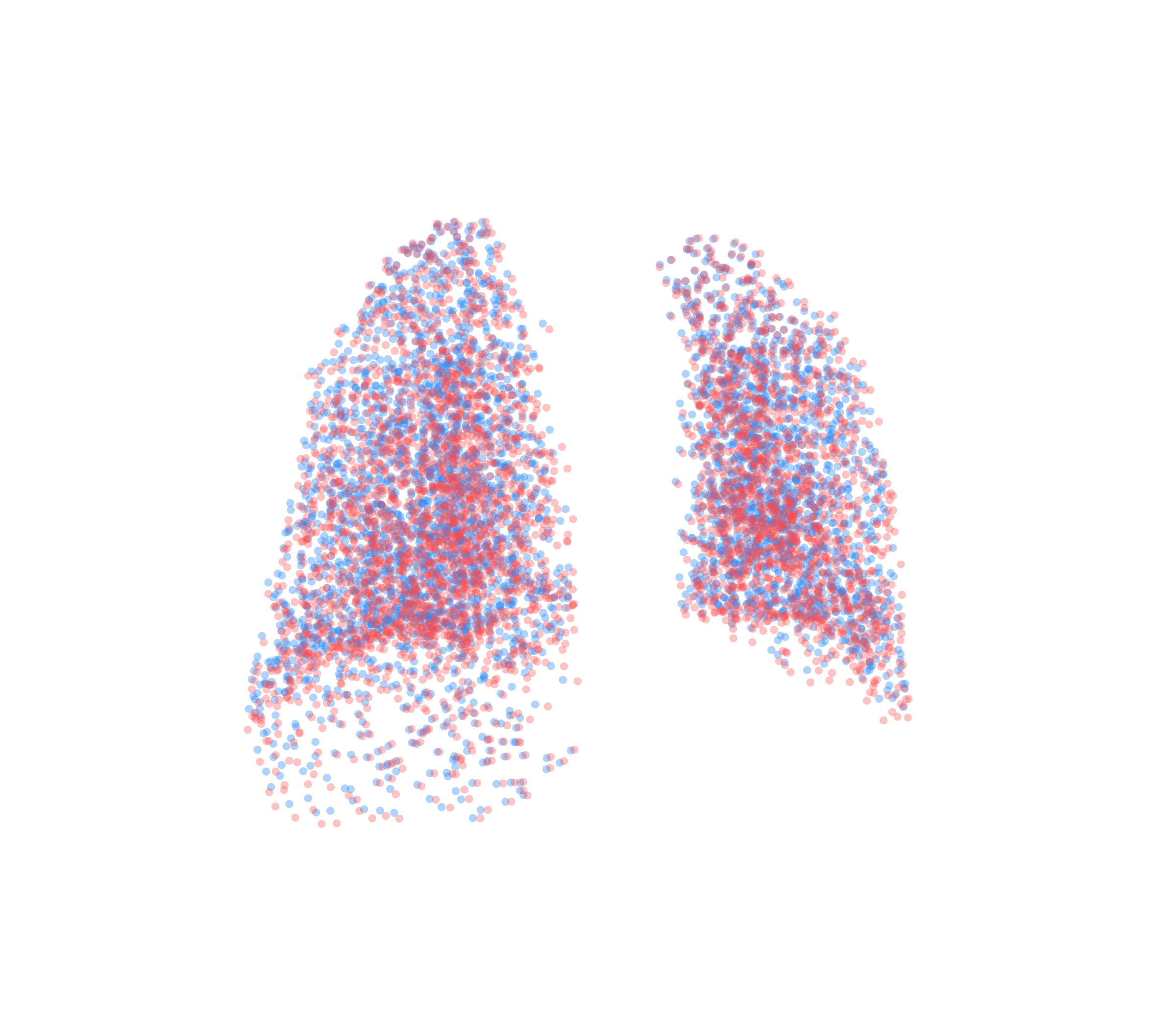 Point Cloud - Back View