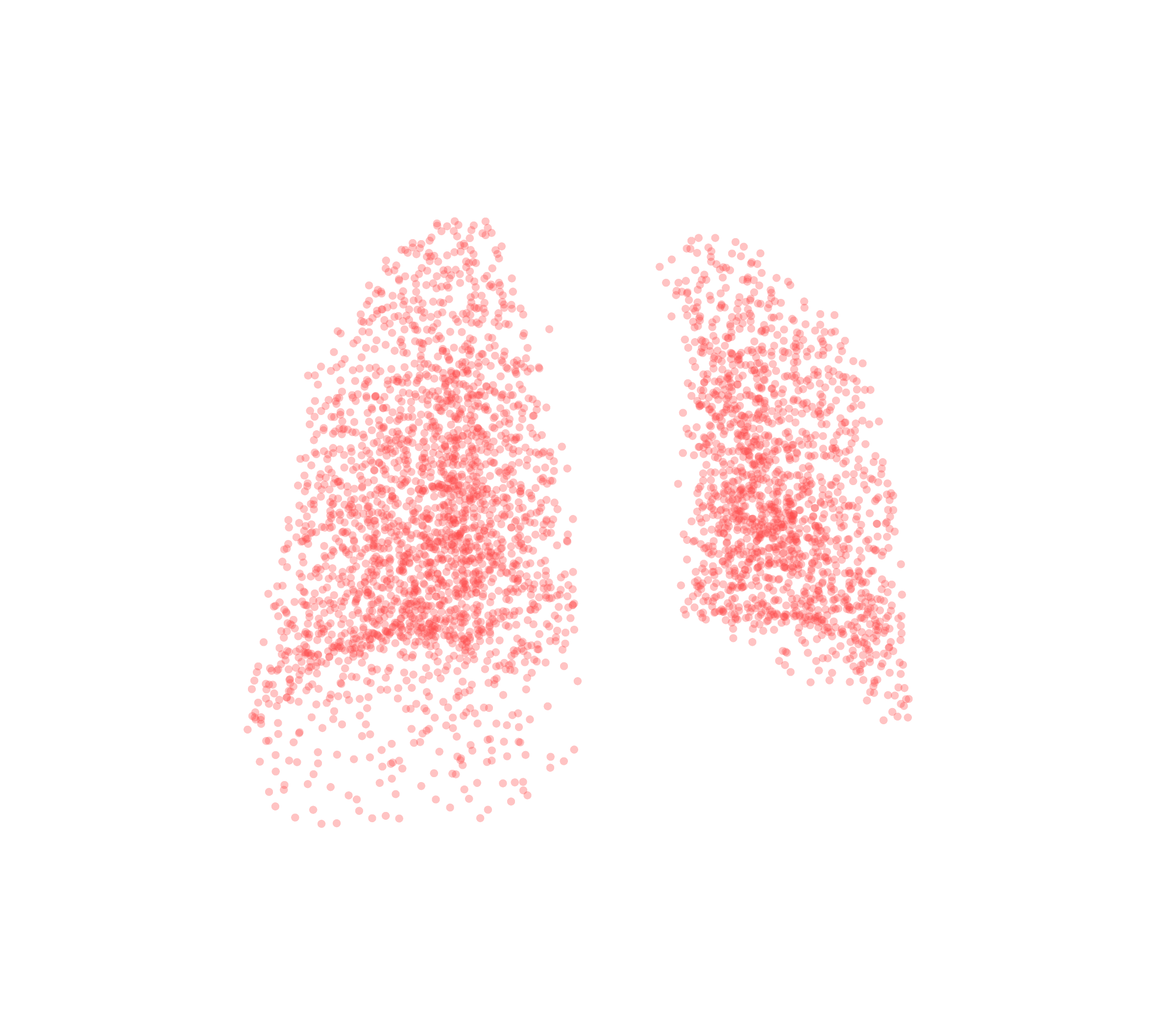 Point Cloud (Expiration) - Back View