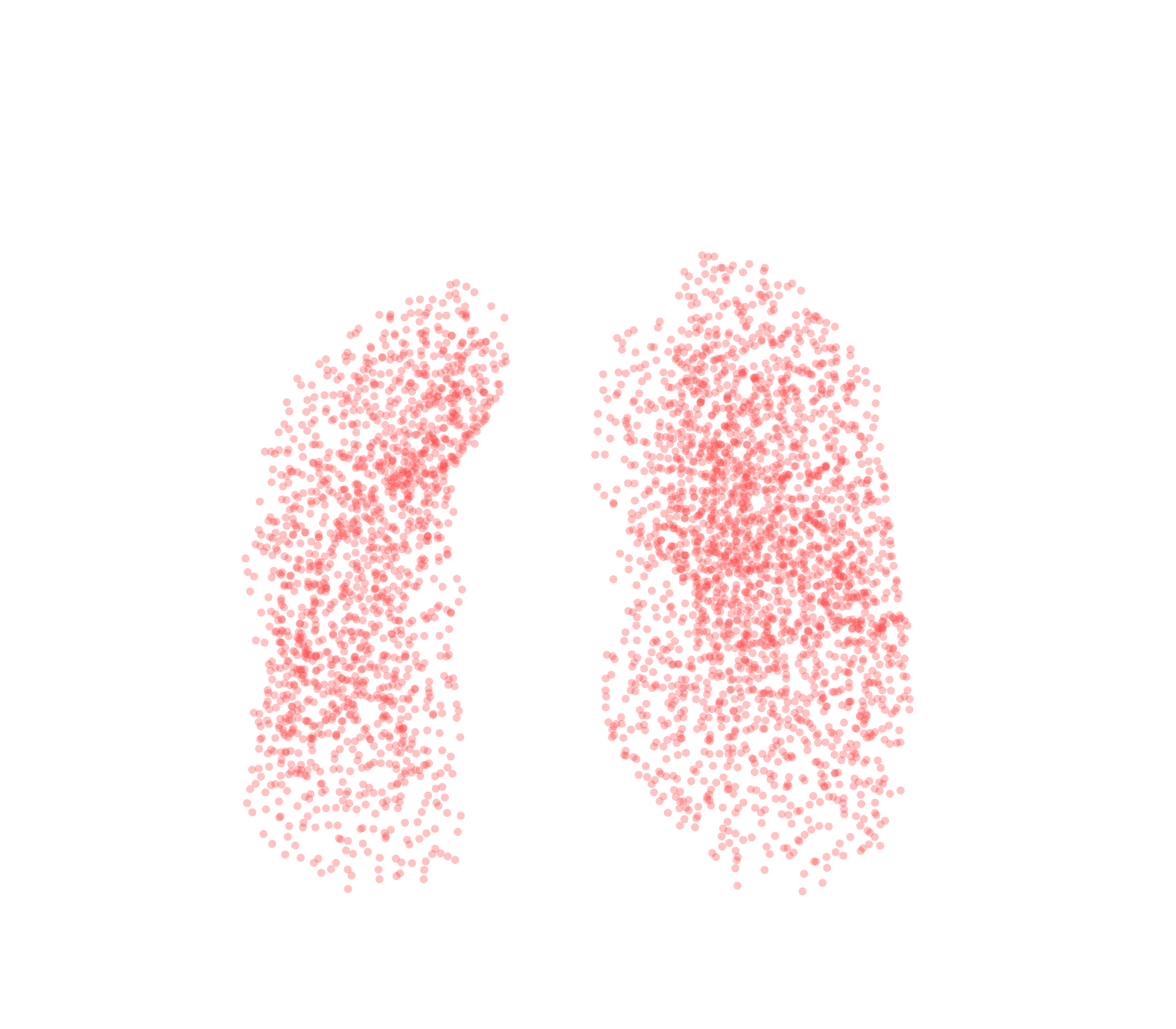 Point Cloud (Expiration) - Front View