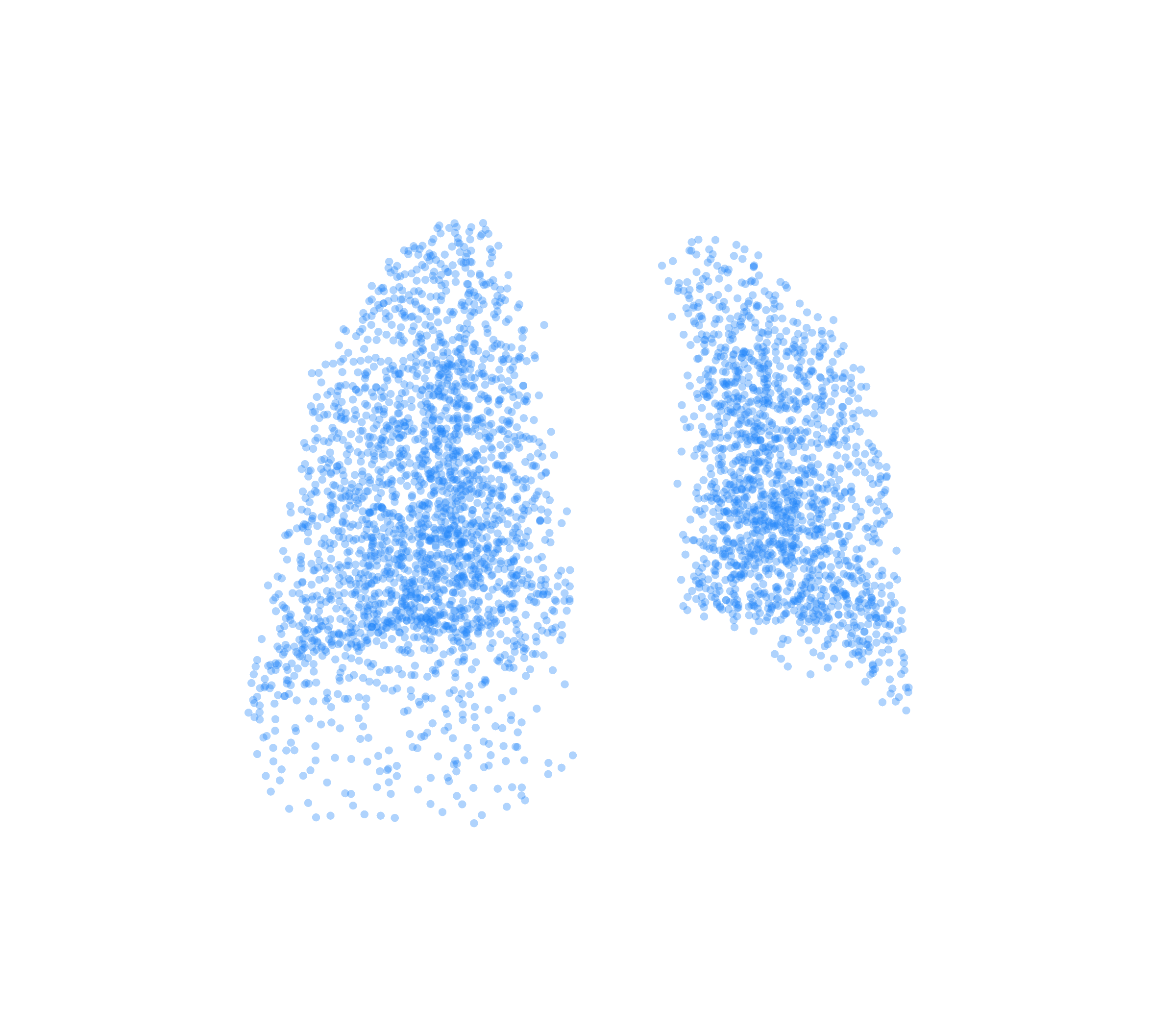 Point Cloud (Inspiration) - Back View