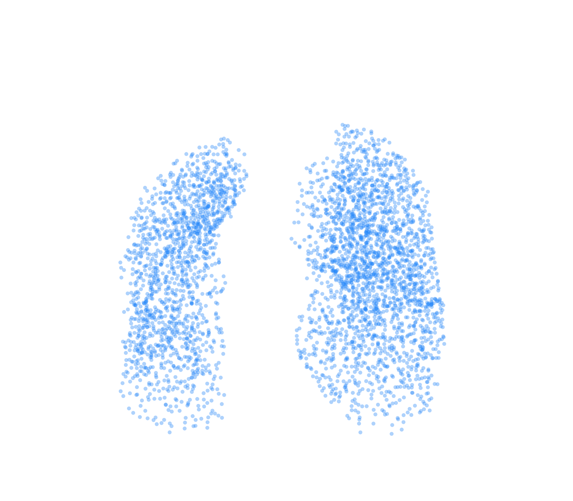 Point Cloud (Inspiration) - Front View