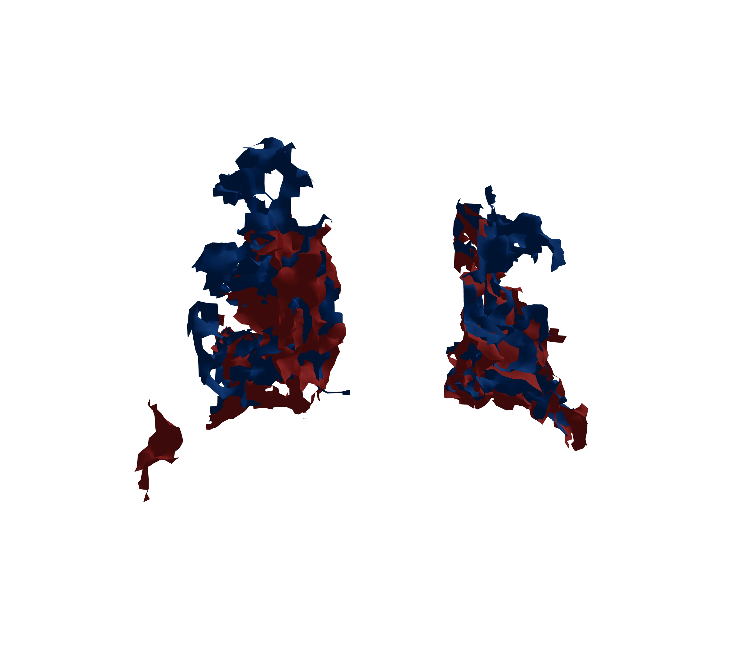 Surface Mesh - Back View