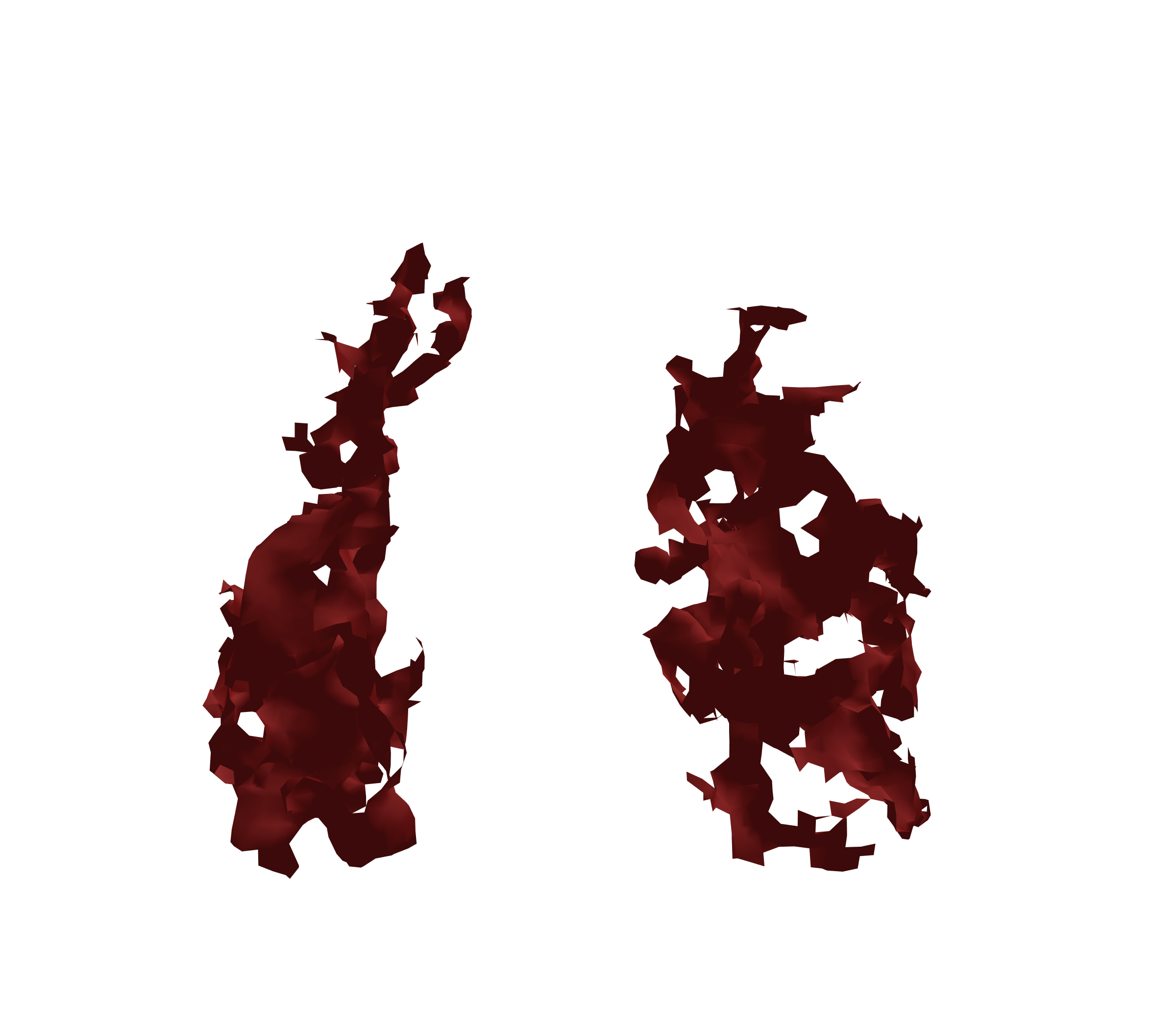 Surface Mesh (Expiration) - Front View