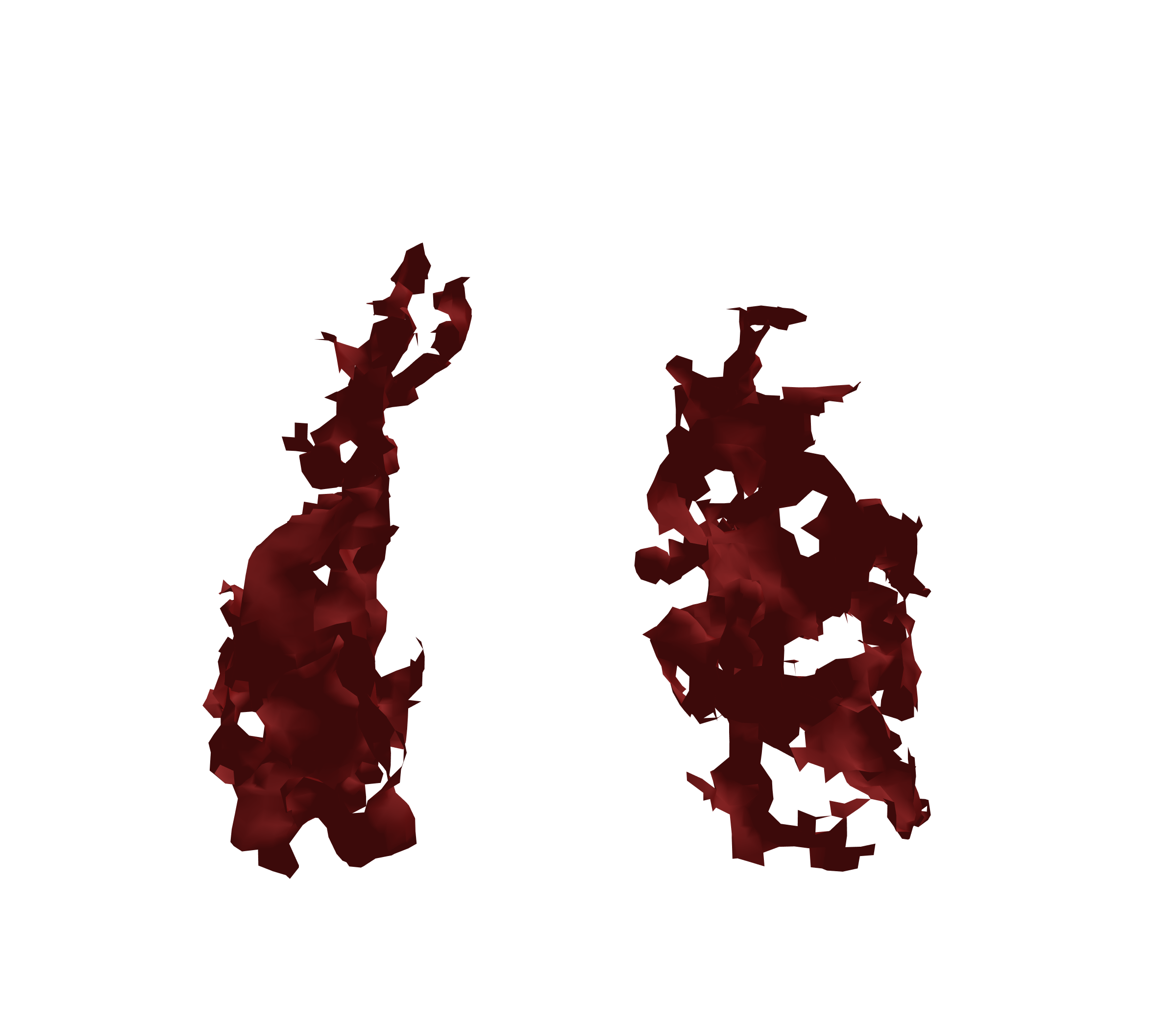 Surface Mesh (Expiration) - Front View