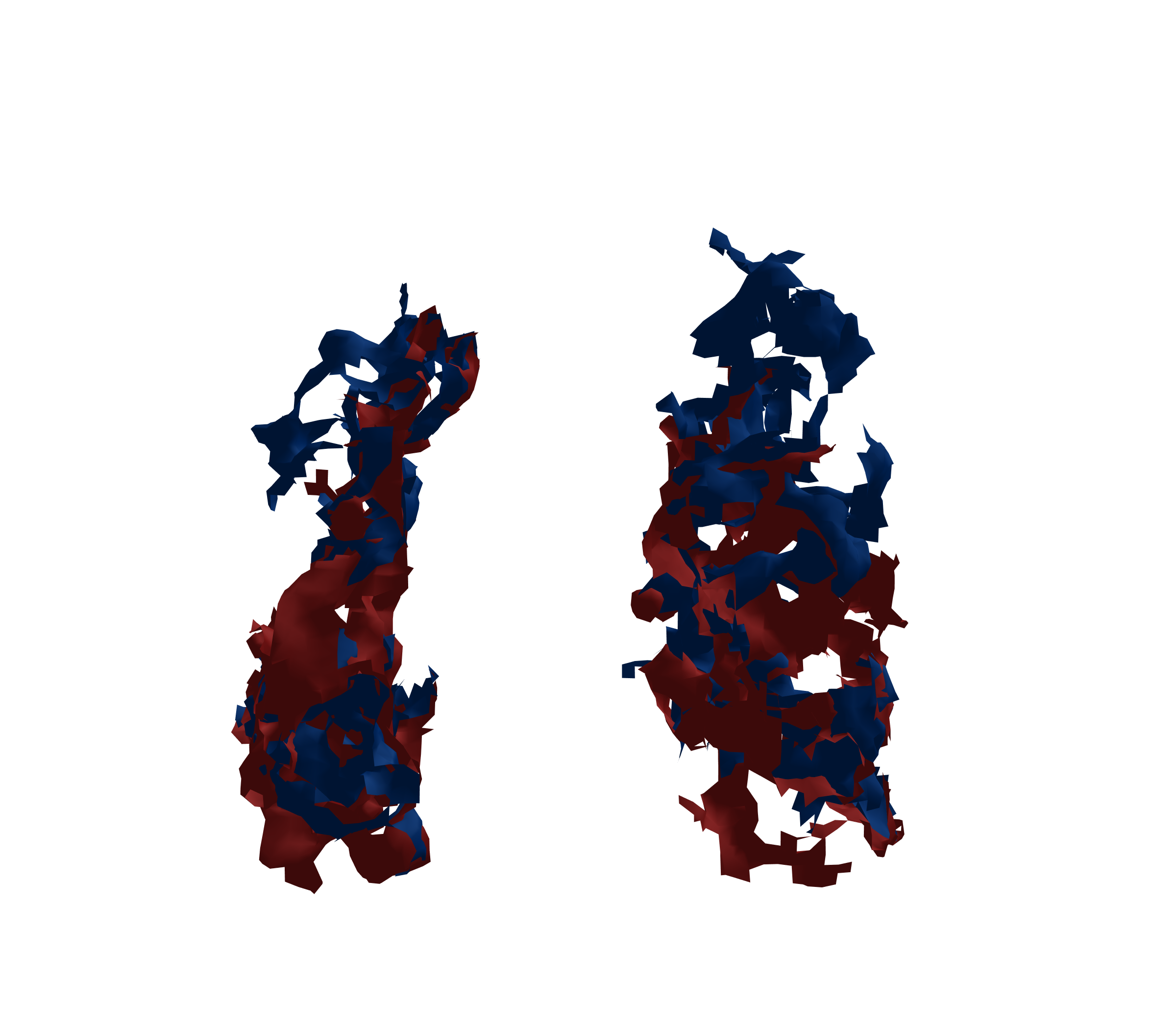 Surface Mesh - Front View