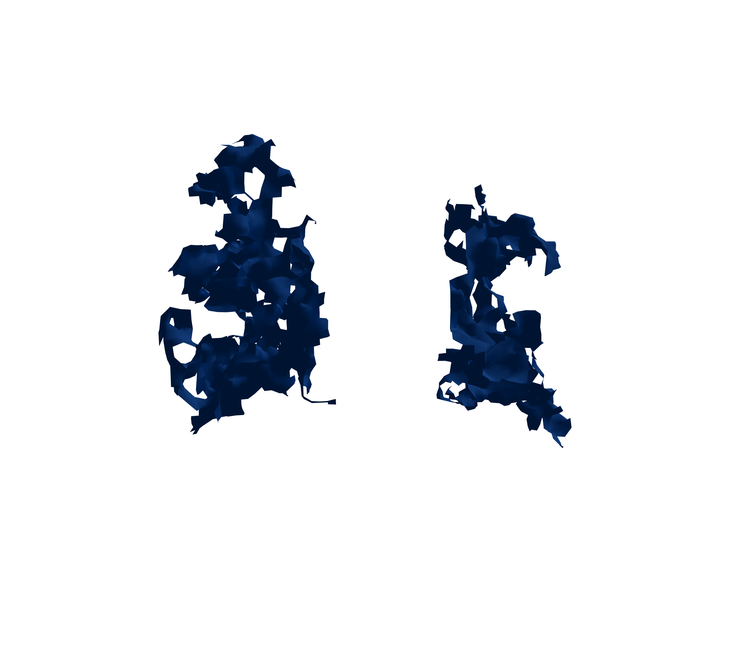 Surface Mesh (Inspiration) - Back View