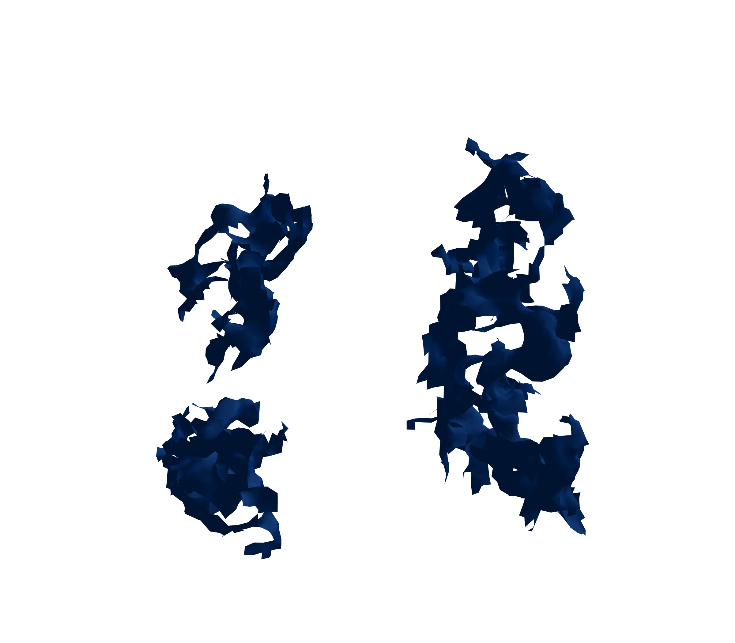 Surface Mesh (Inspiration) - Front View