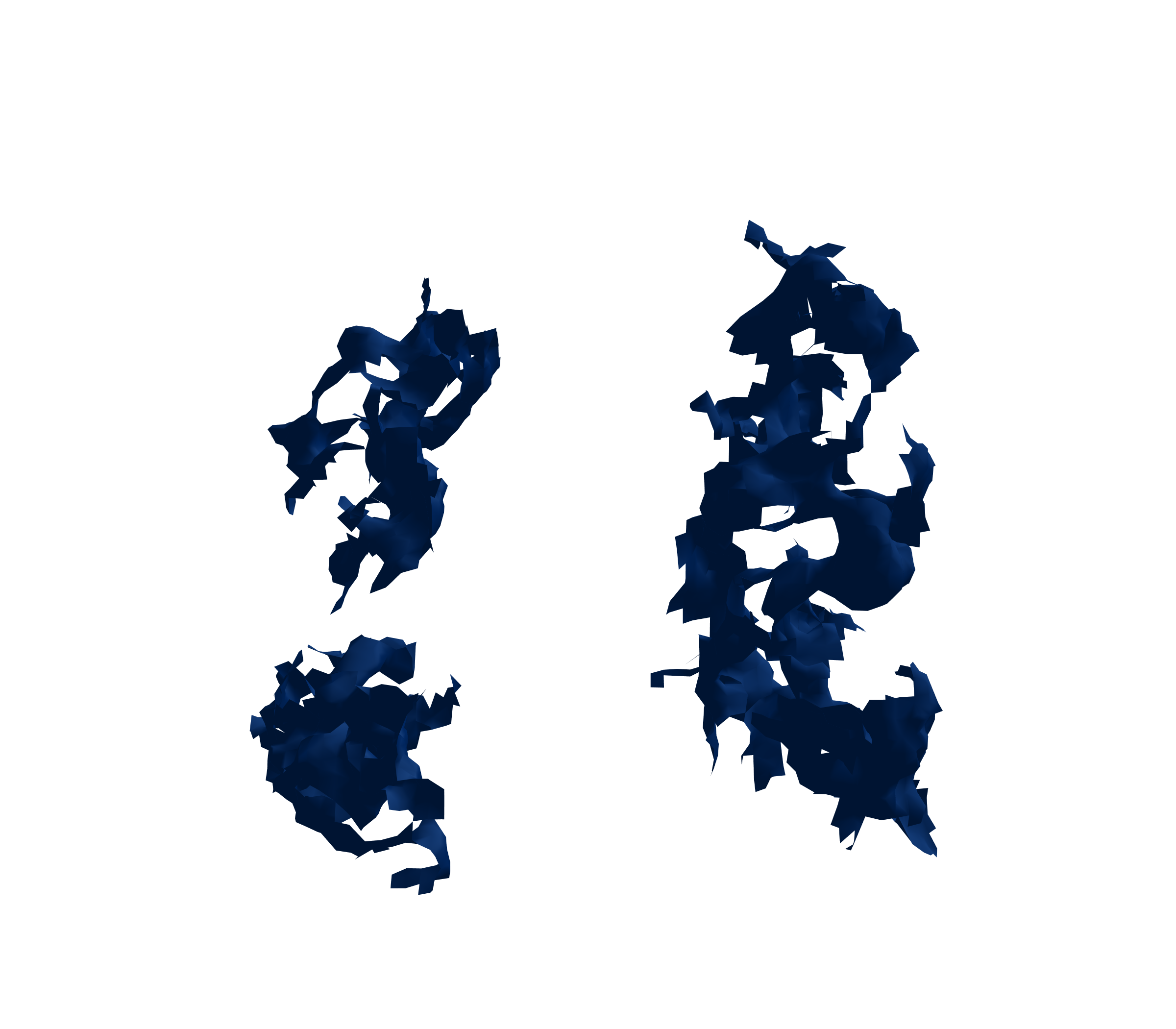 Surface Mesh (Inspiration) - Front View