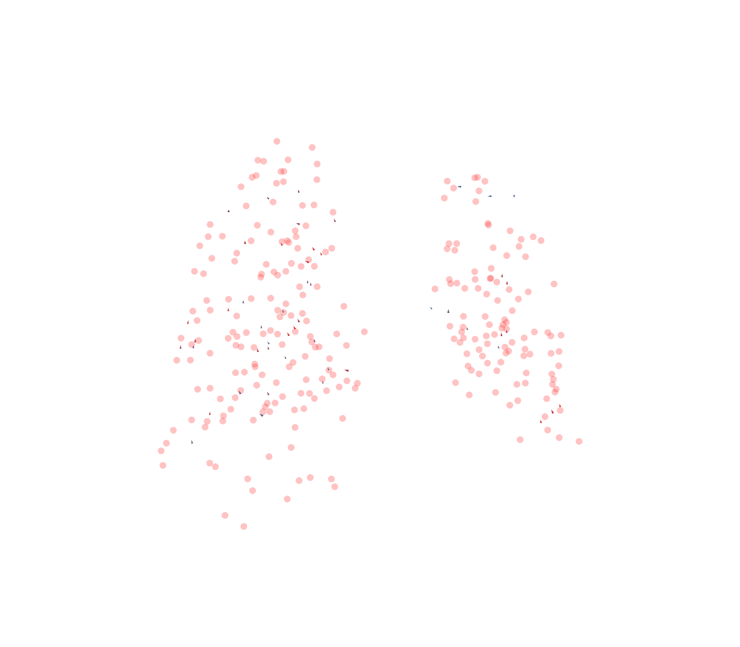 Displacement Vectors - Back View