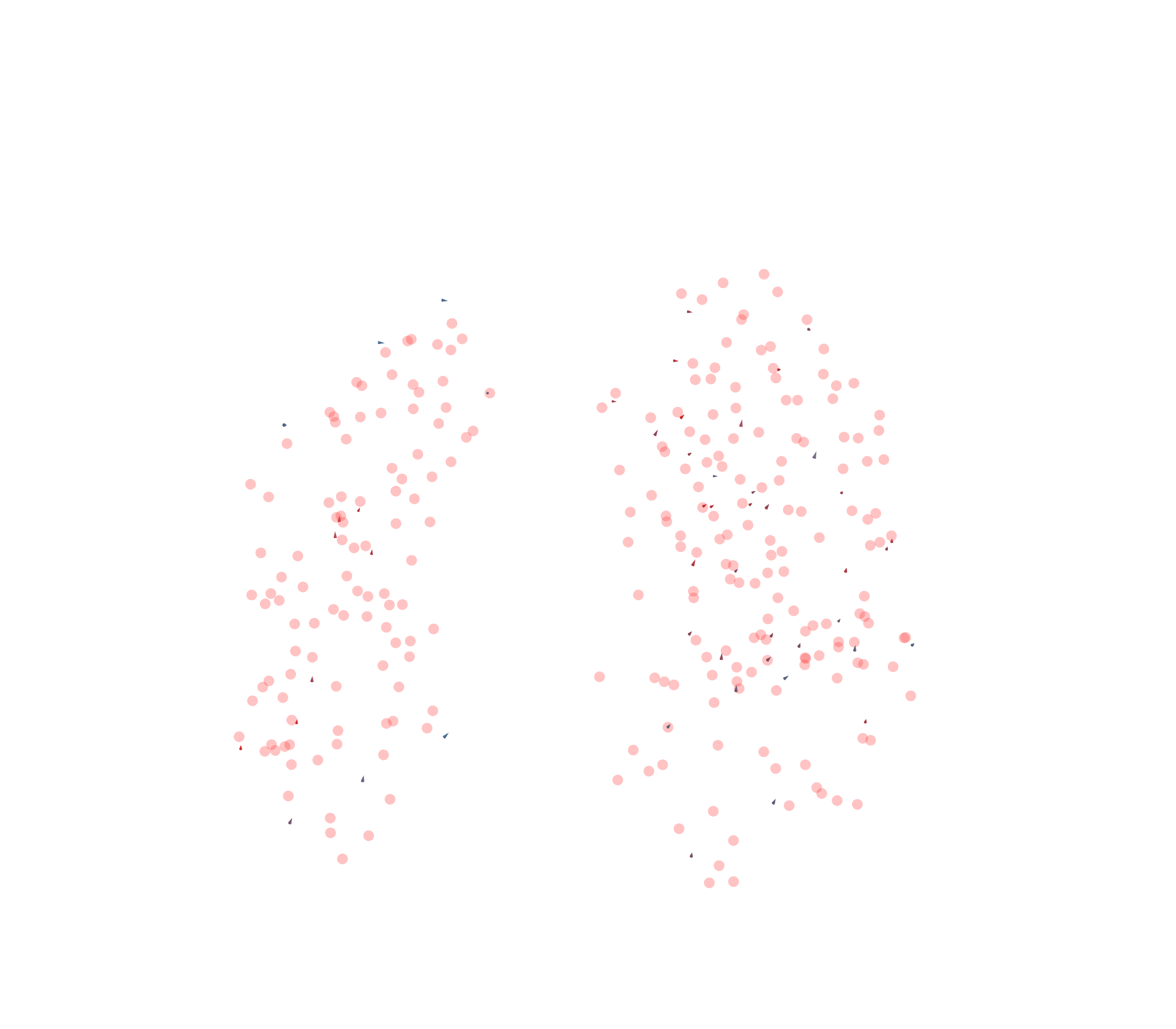 Displacement Vectors - Front View