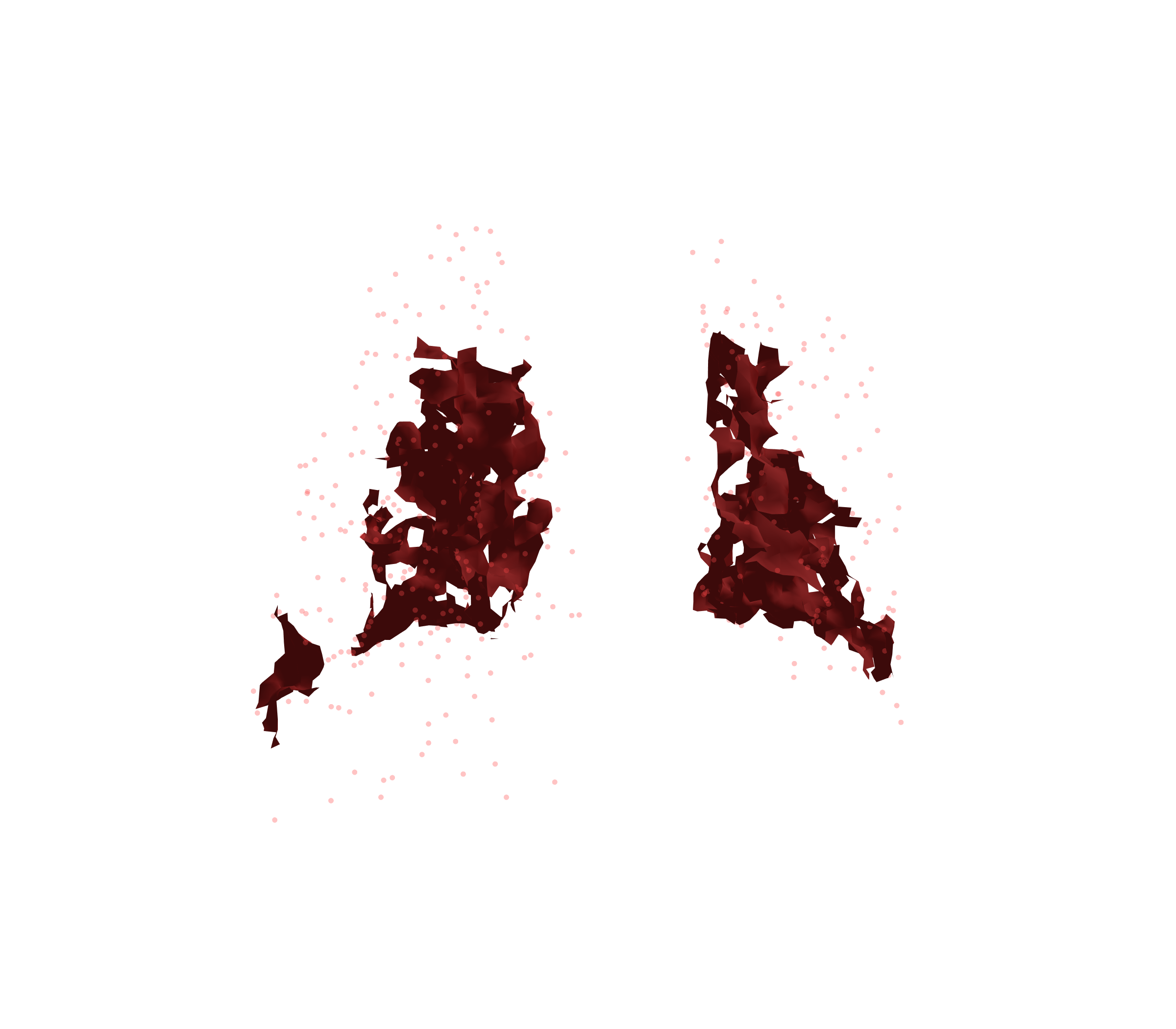 Combined Visualization (Expiration) - Back View