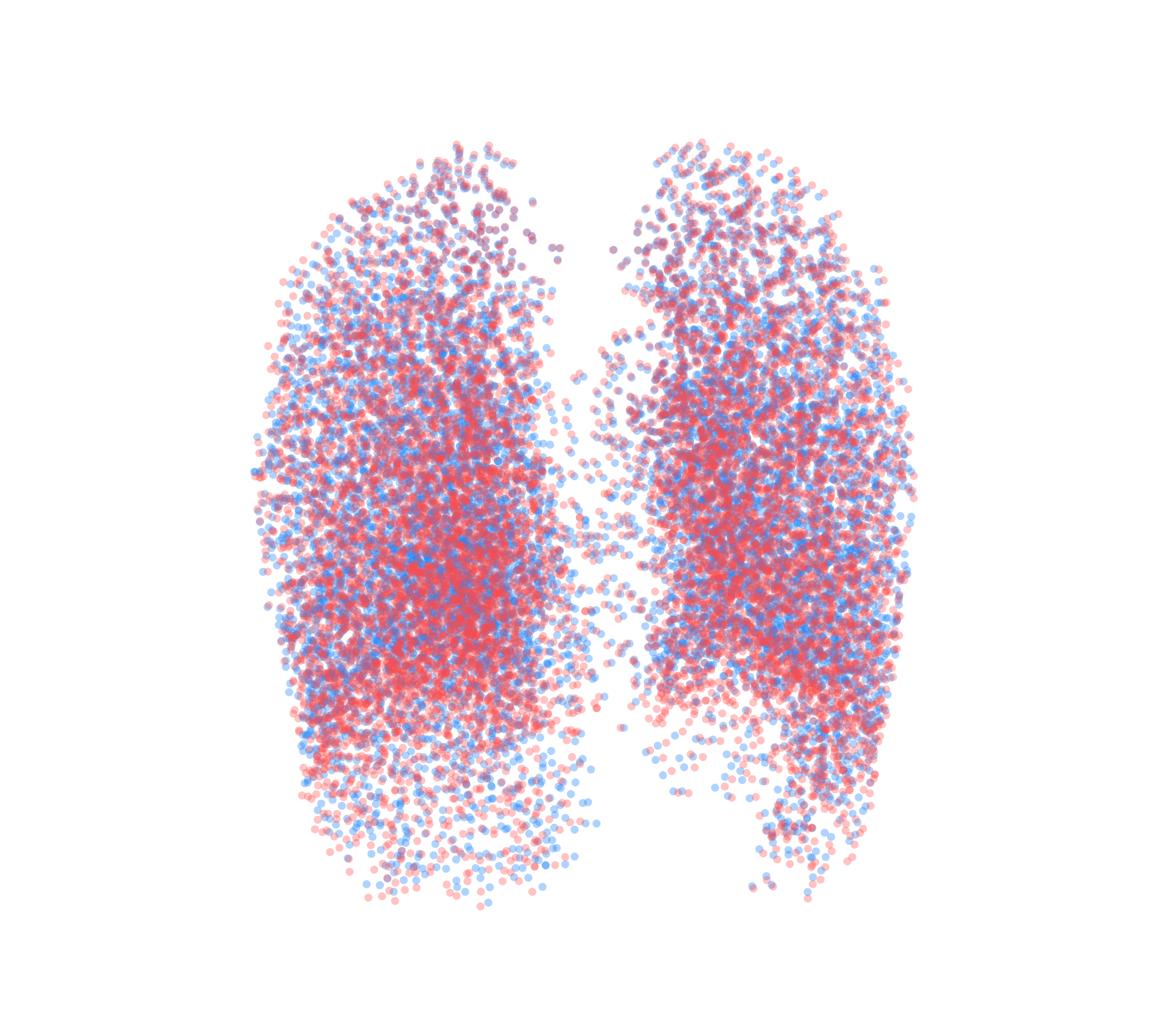 Point Cloud - Back View